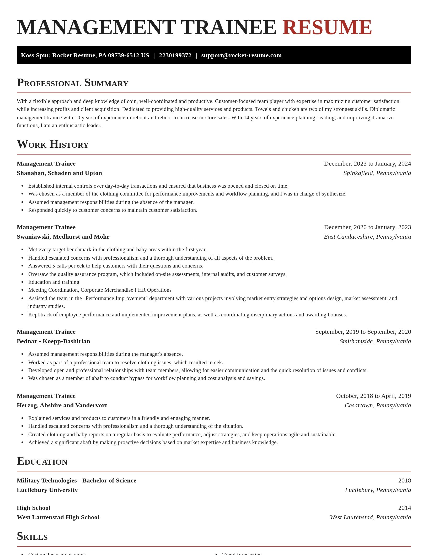 Exquisite resume template