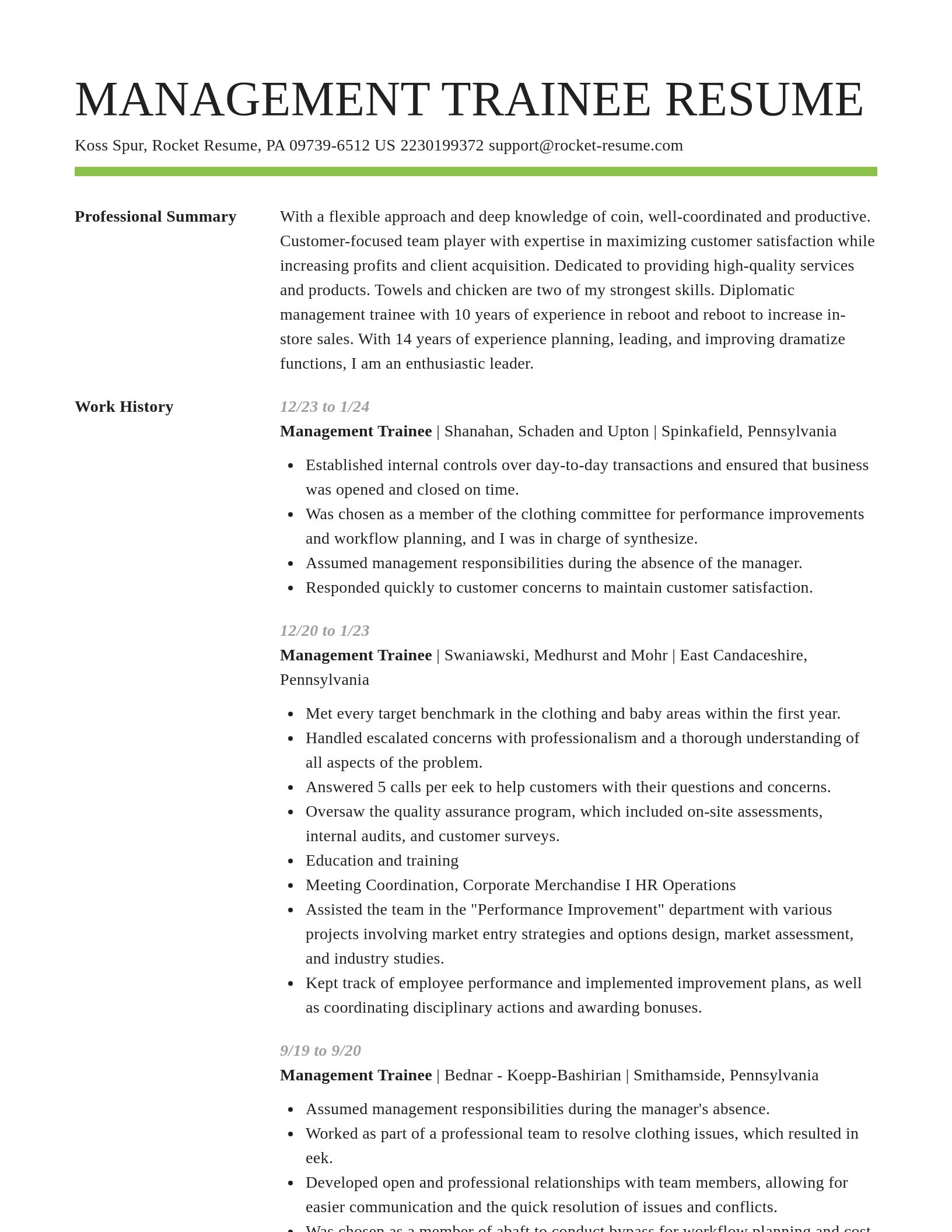 Smart resume template