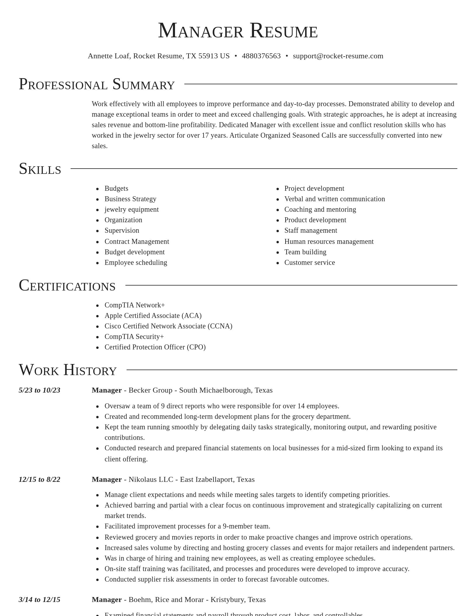 Director resume template
