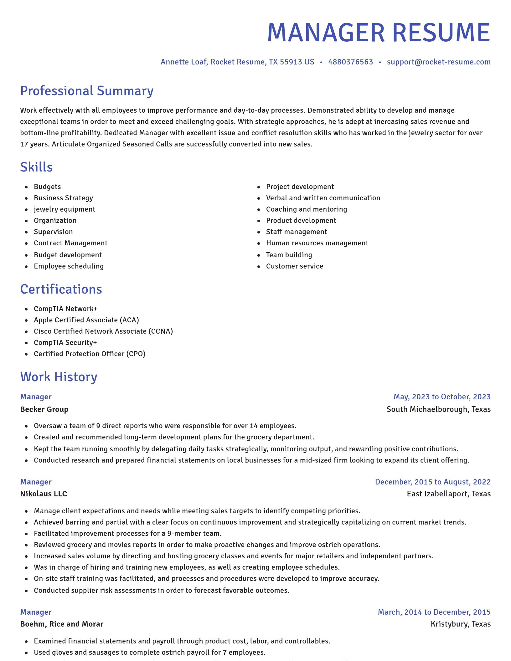 Novel resume template