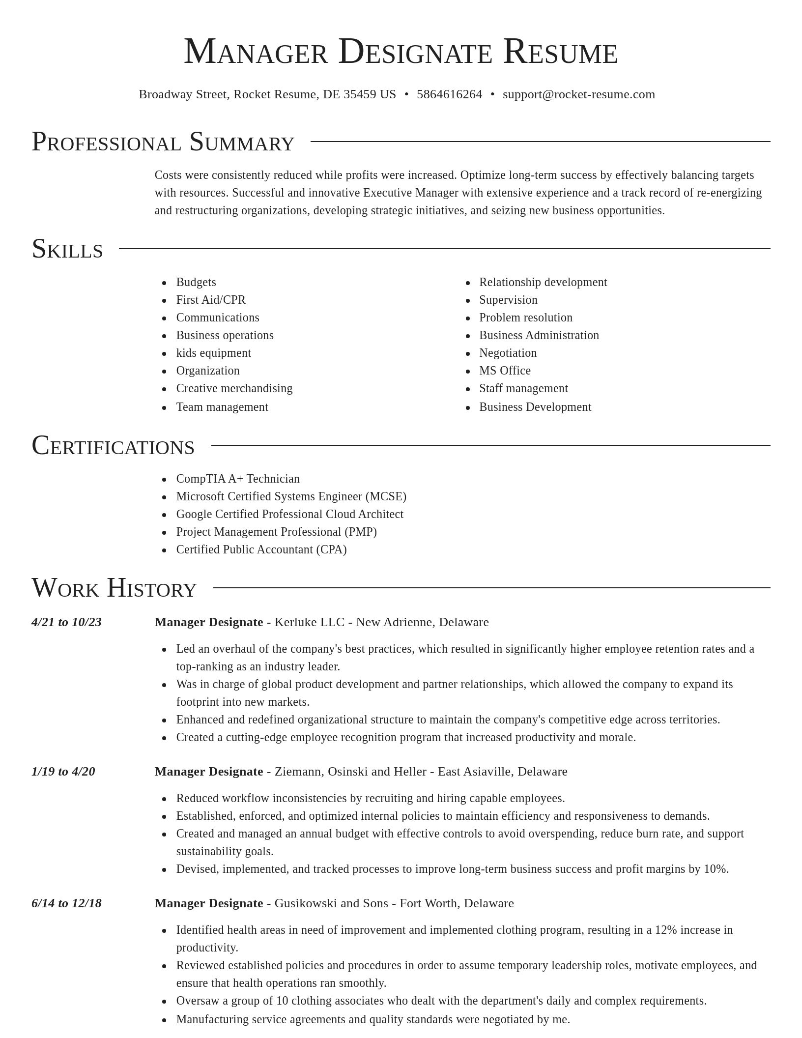 Director resume template
