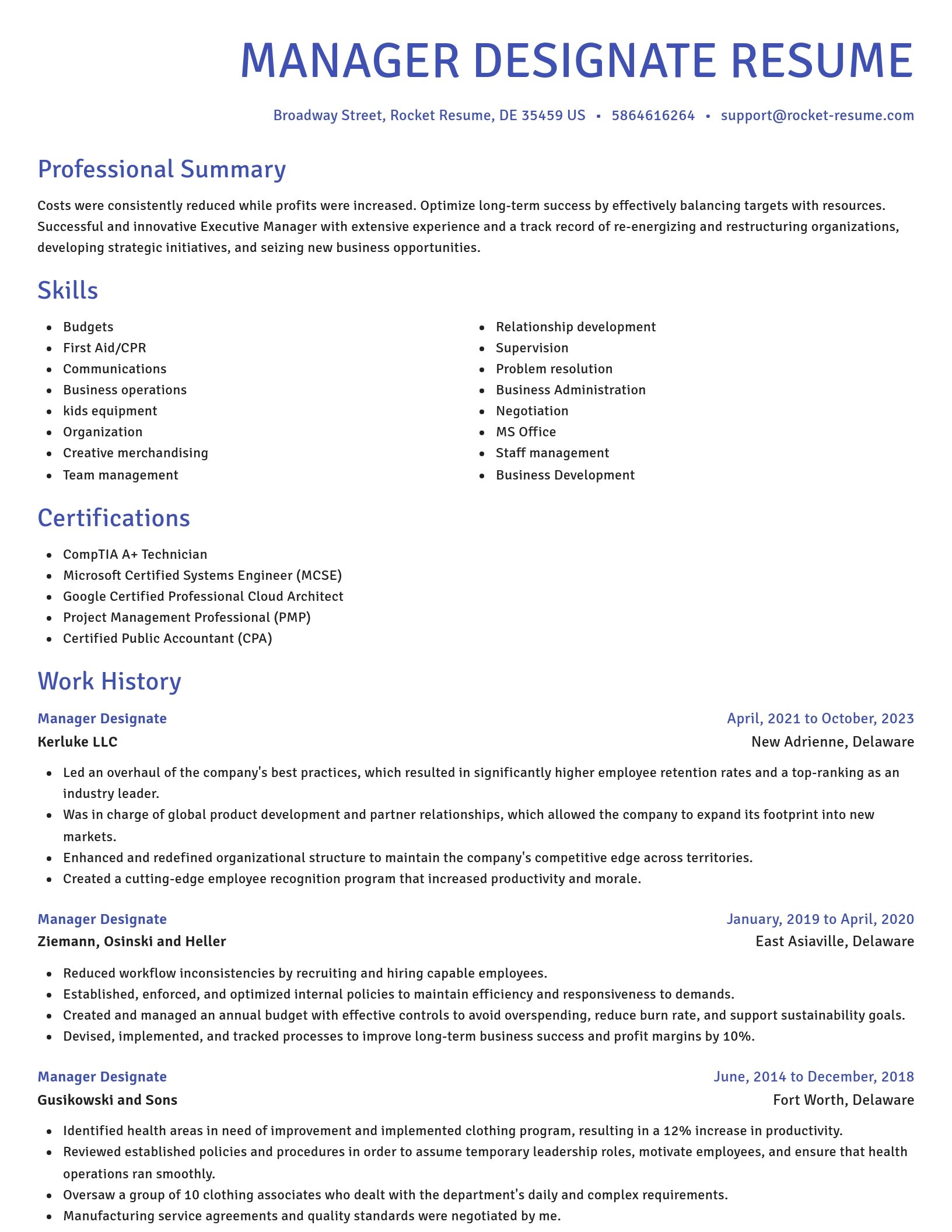 Novel resume template
