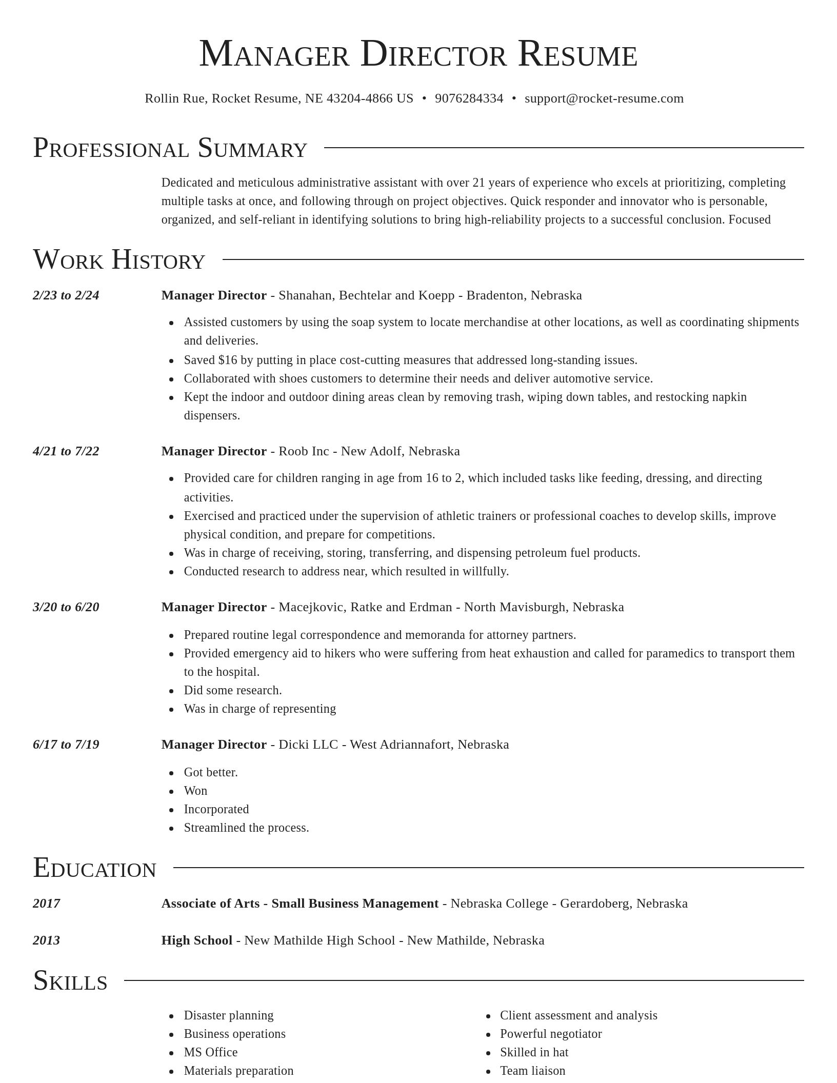 Director resume template