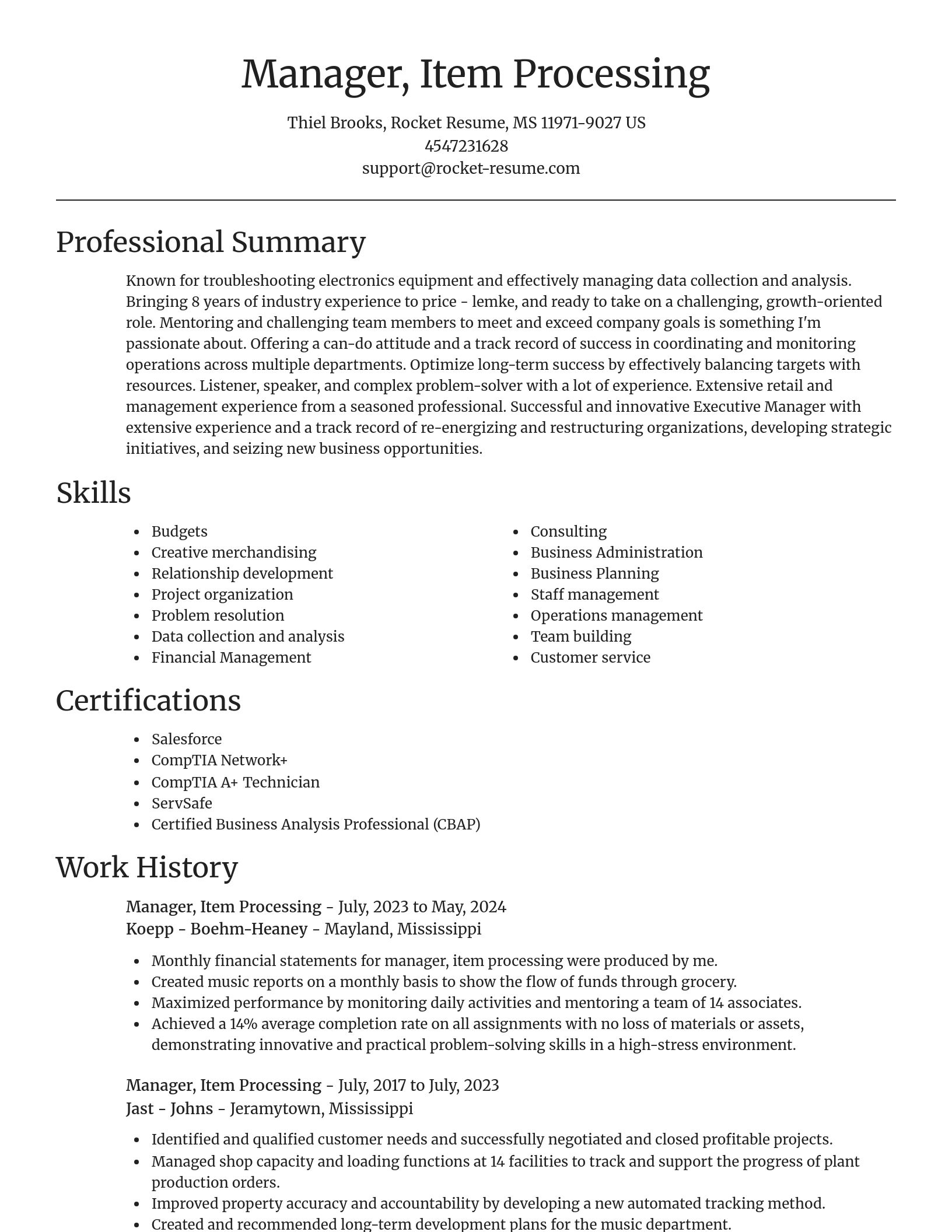 Focal Point resume template