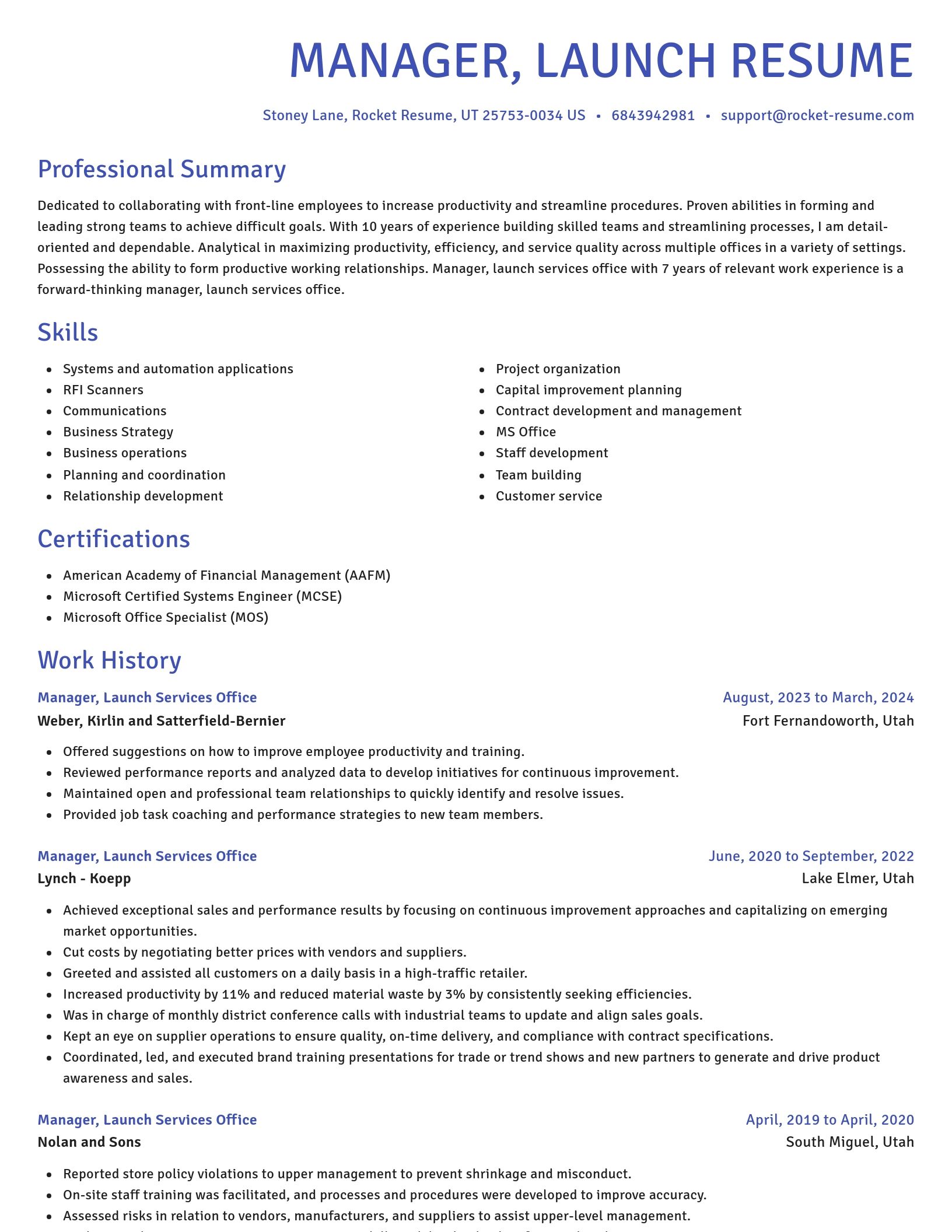 Novel resume template
