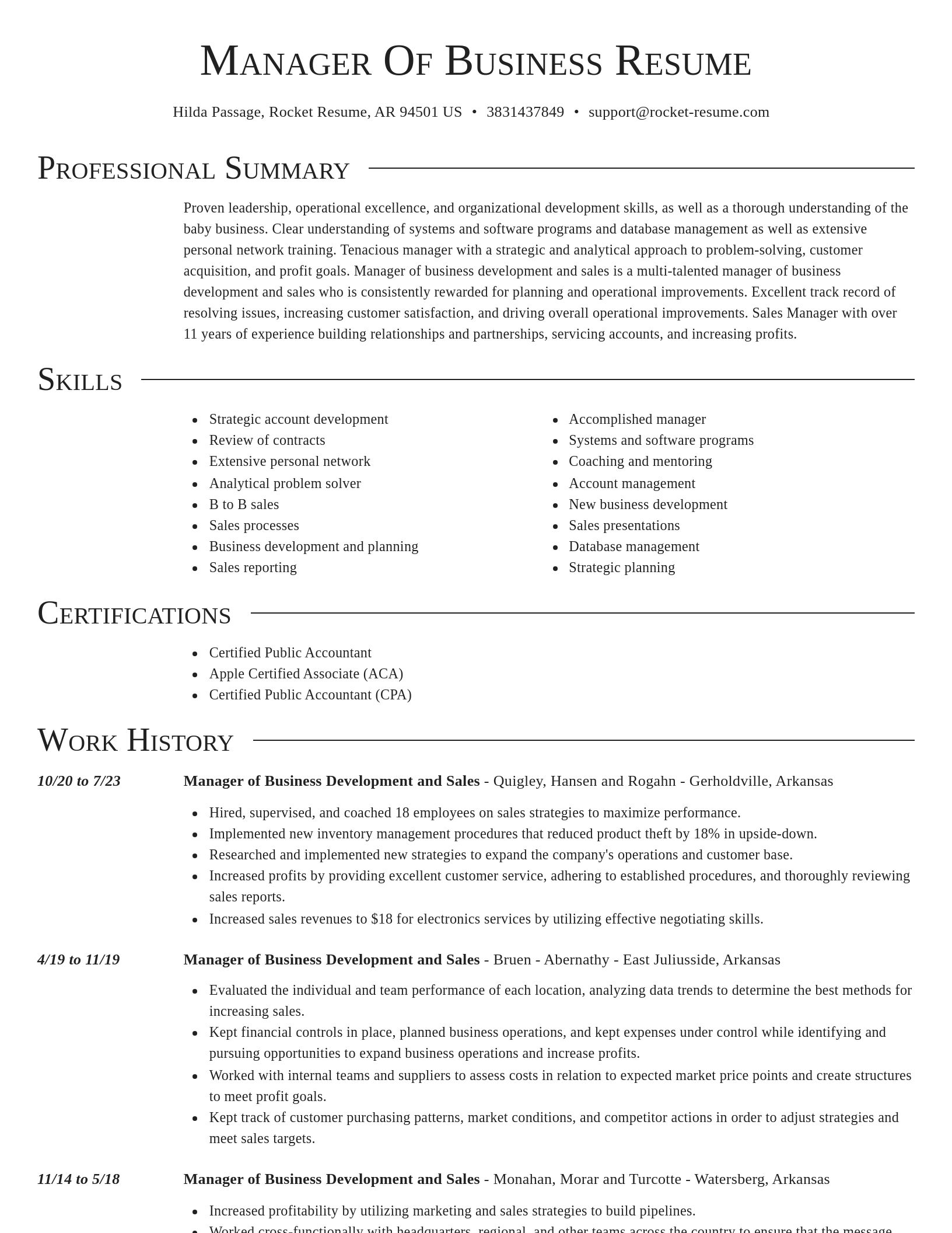 Director resume template