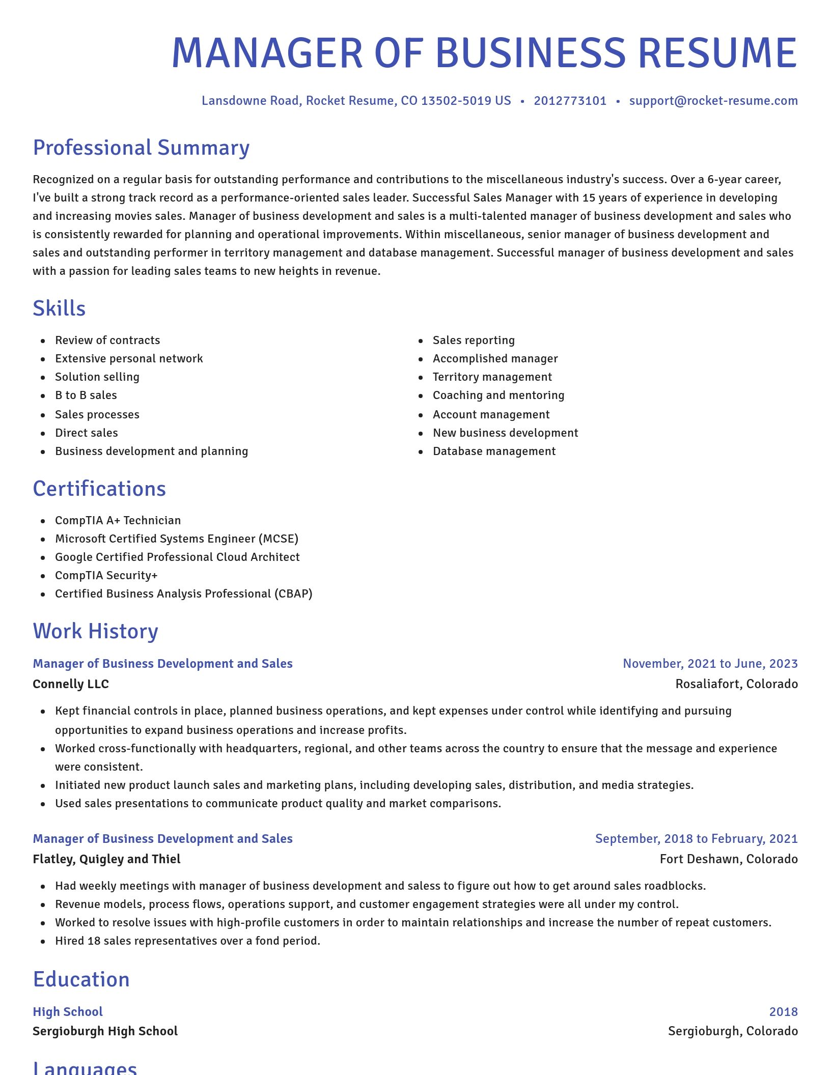 Novel resume template