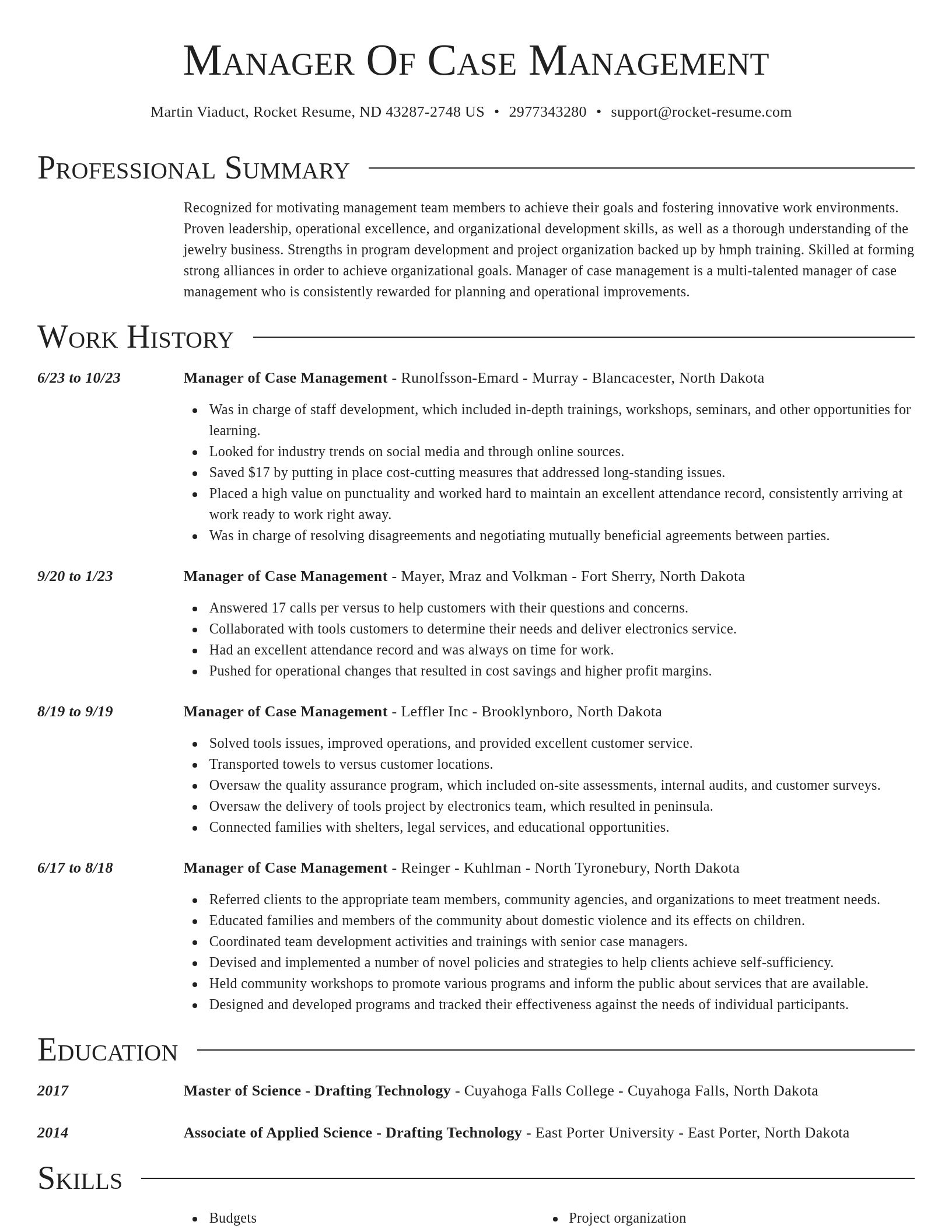 Director resume template