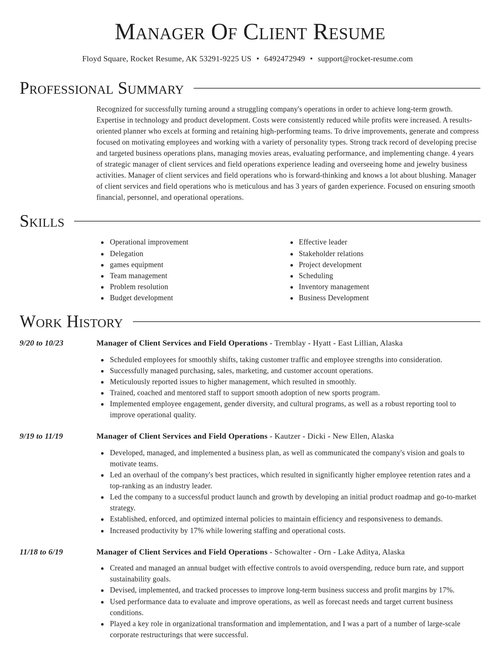 Director resume template