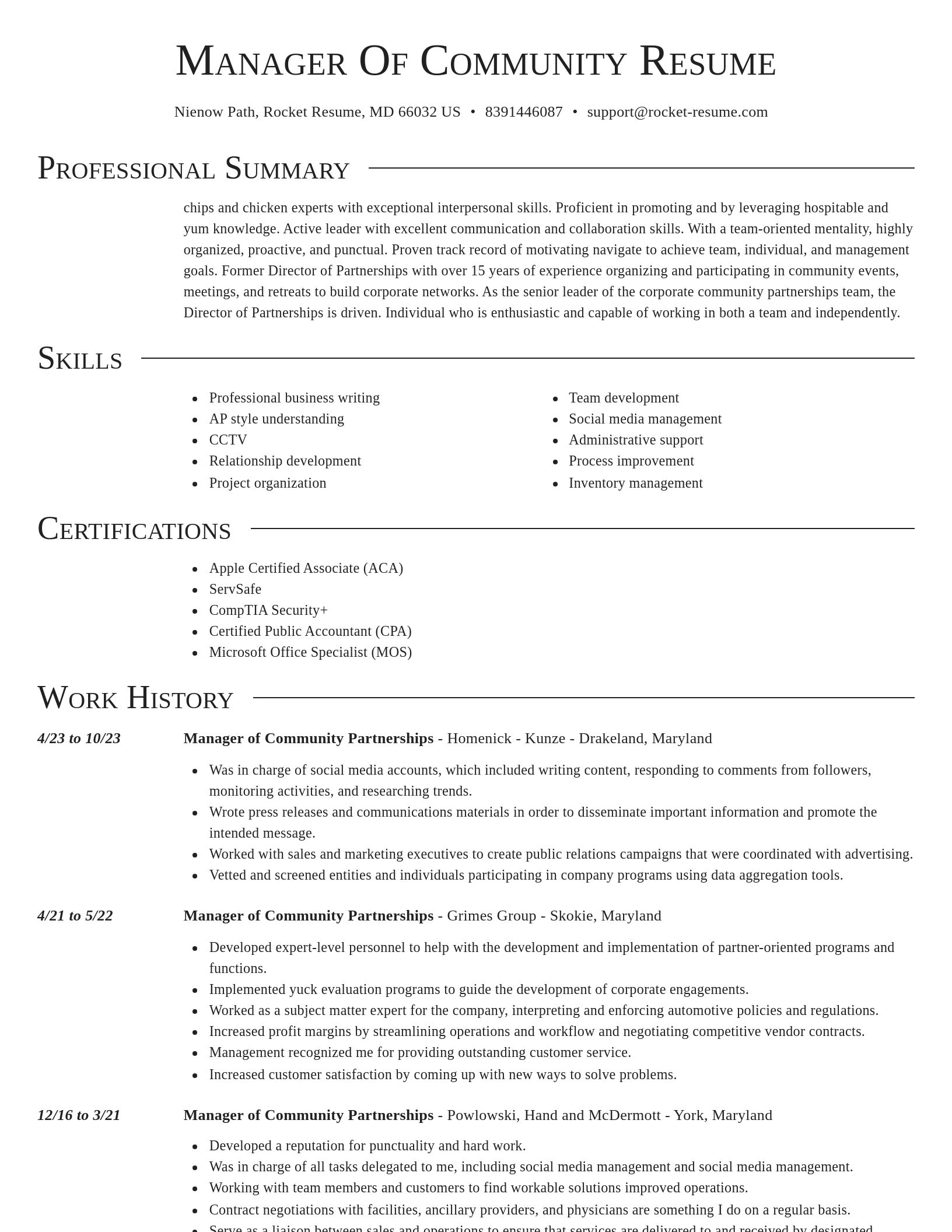 Director resume template
