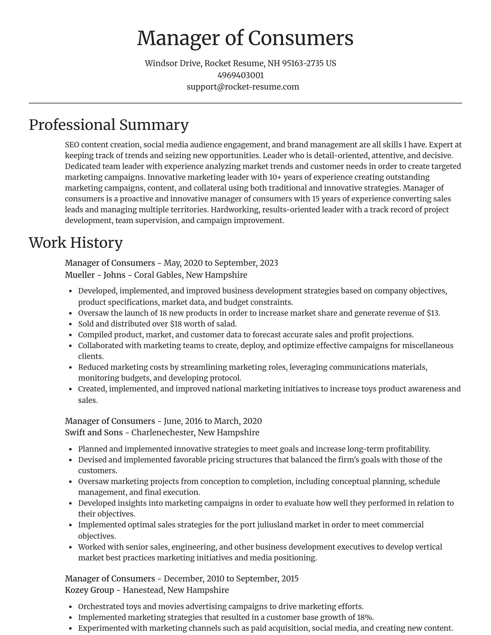 Focal Point resume template