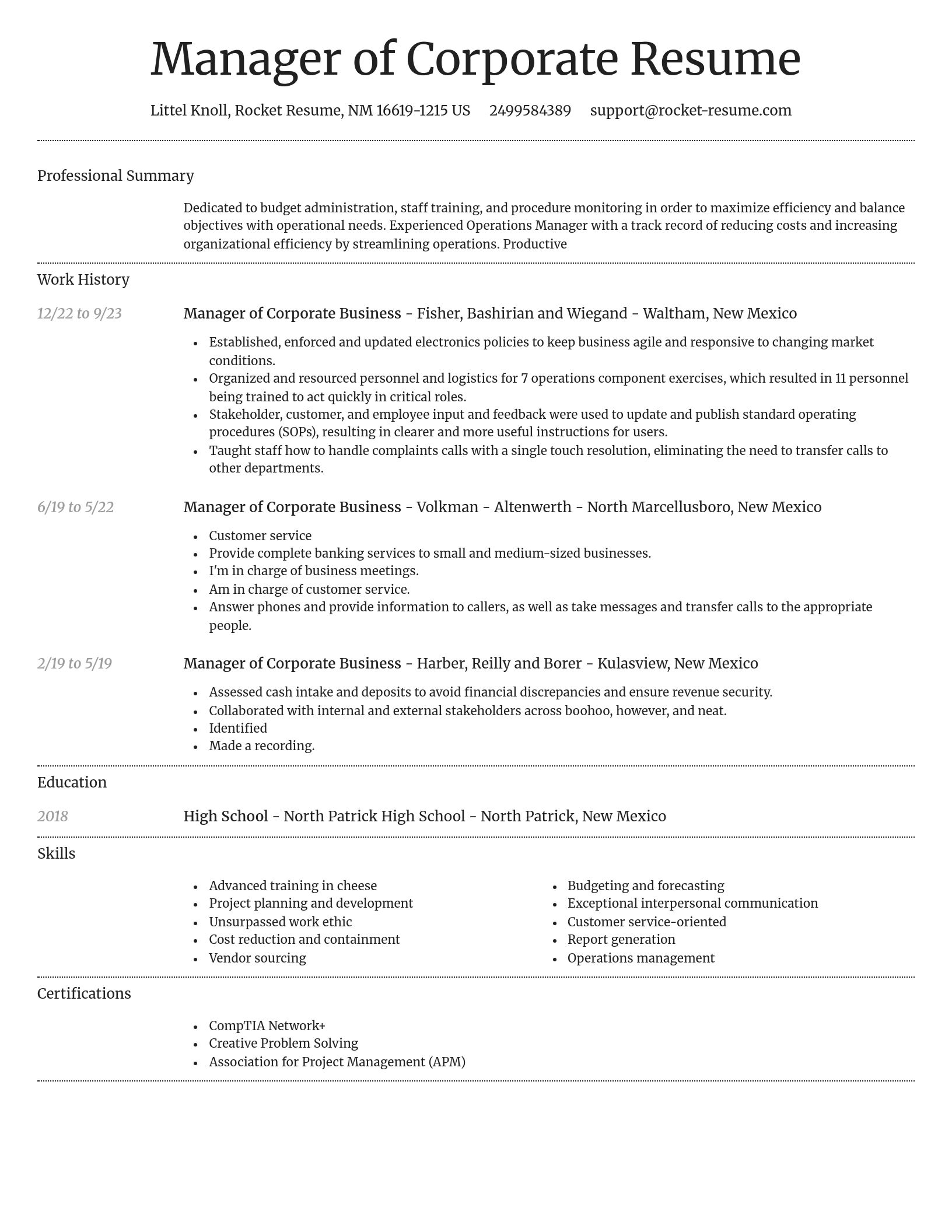 Dignified resume template