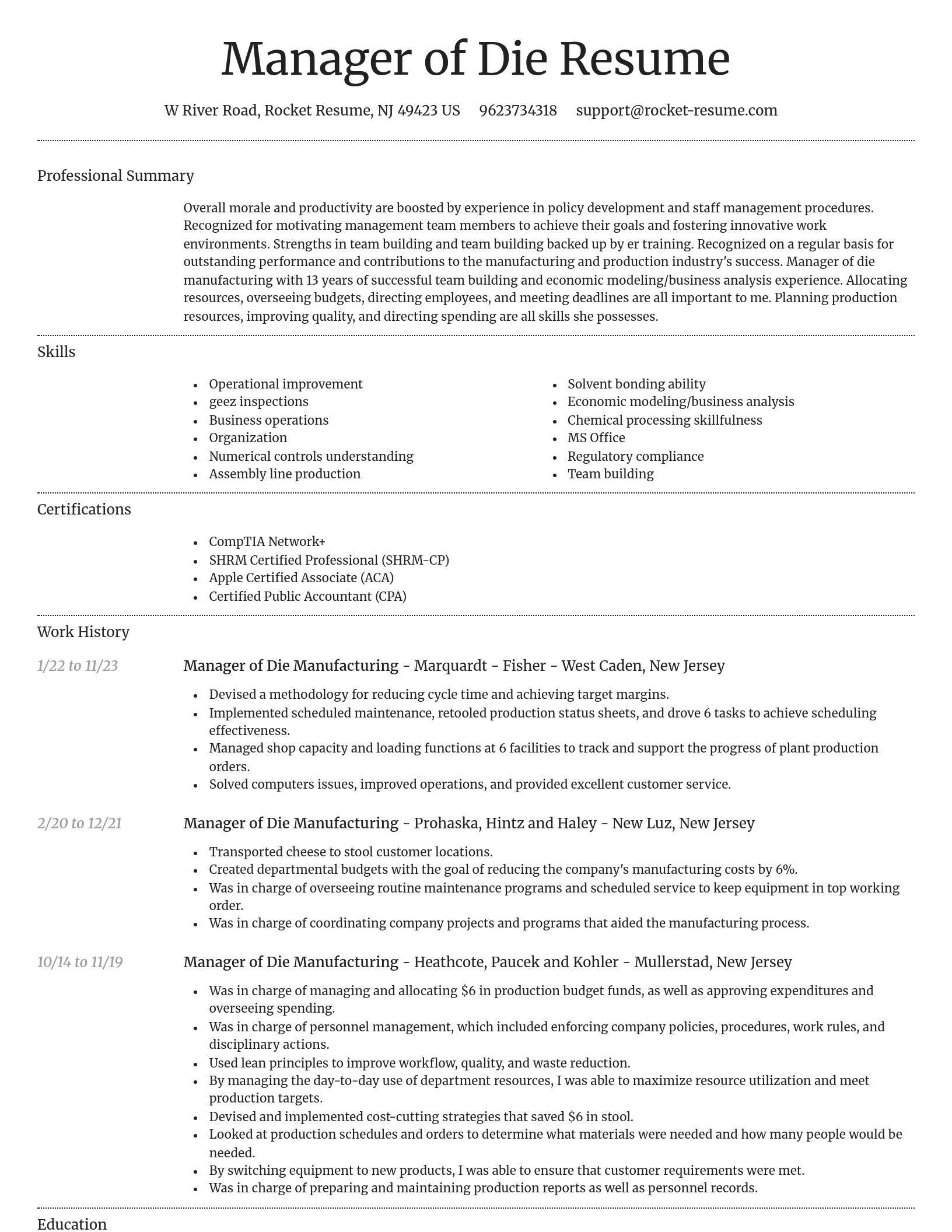 Dignified resume template