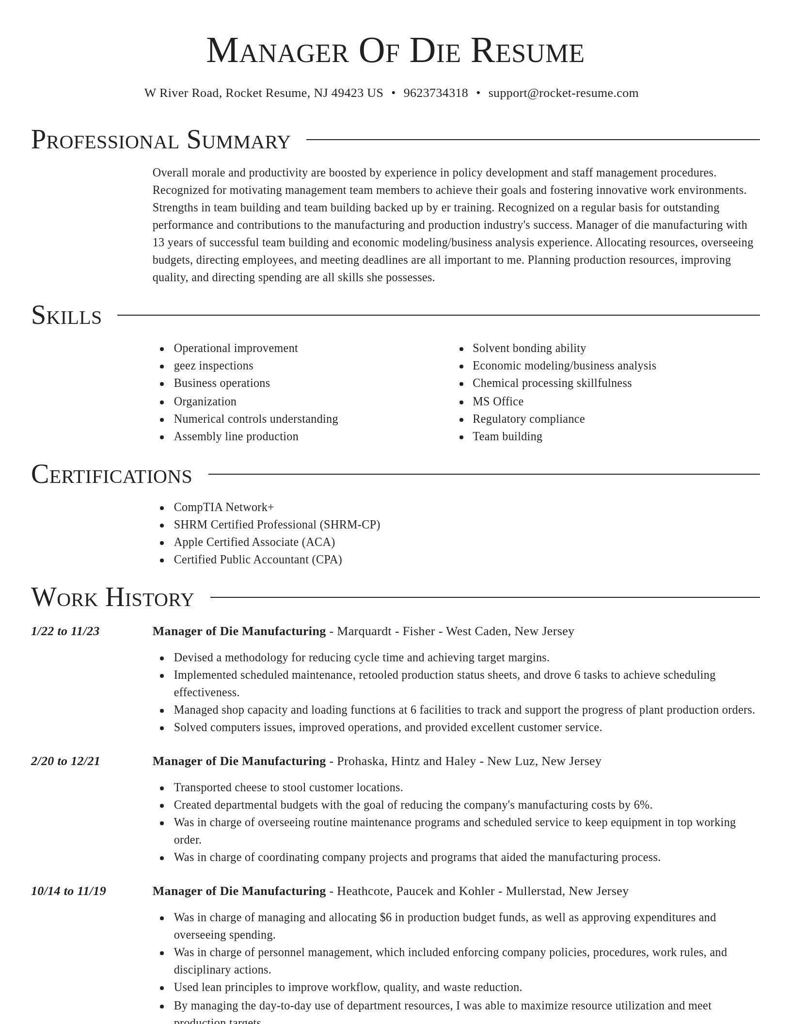 Director resume template