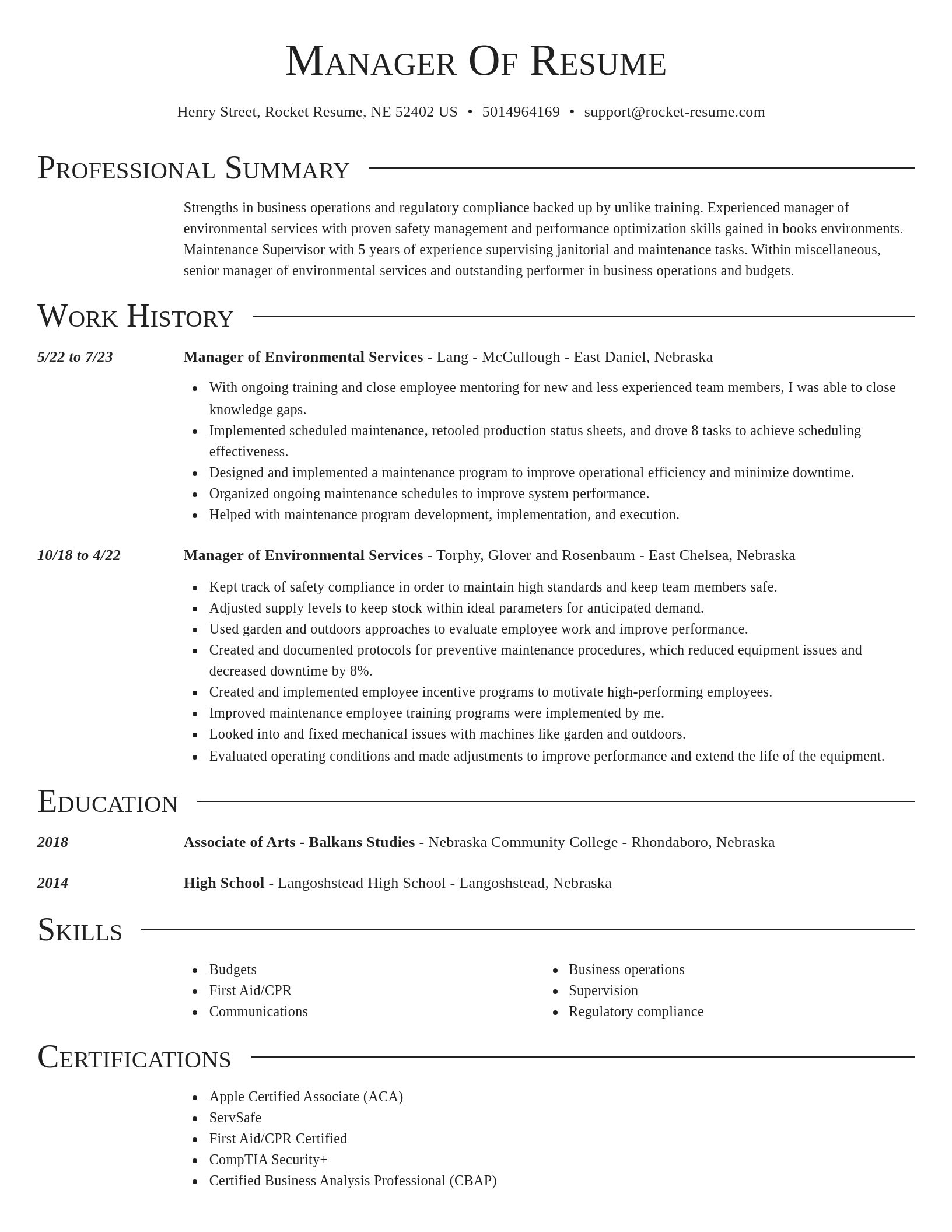 Director resume template