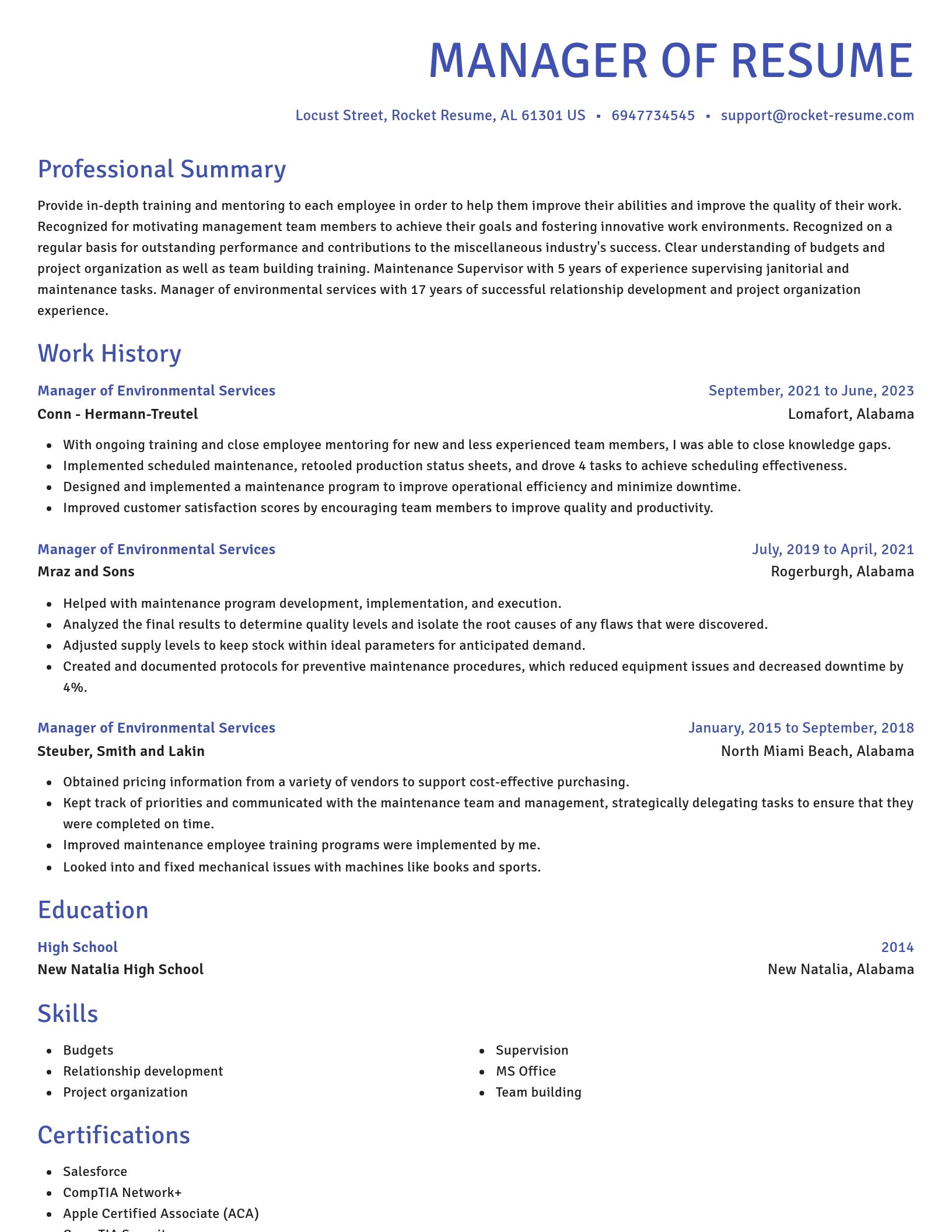 Novel resume template