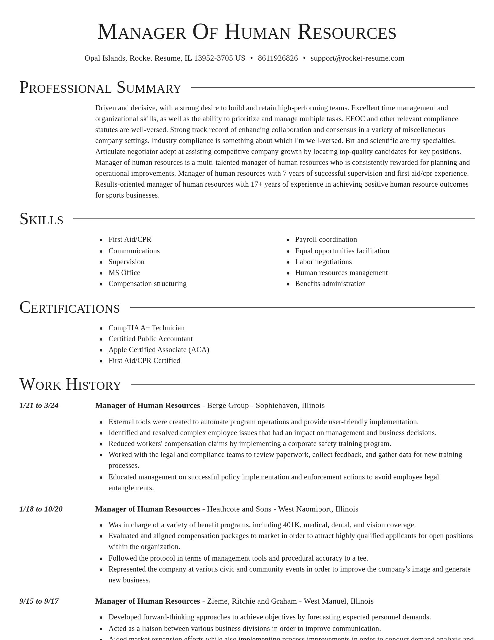 Director resume template