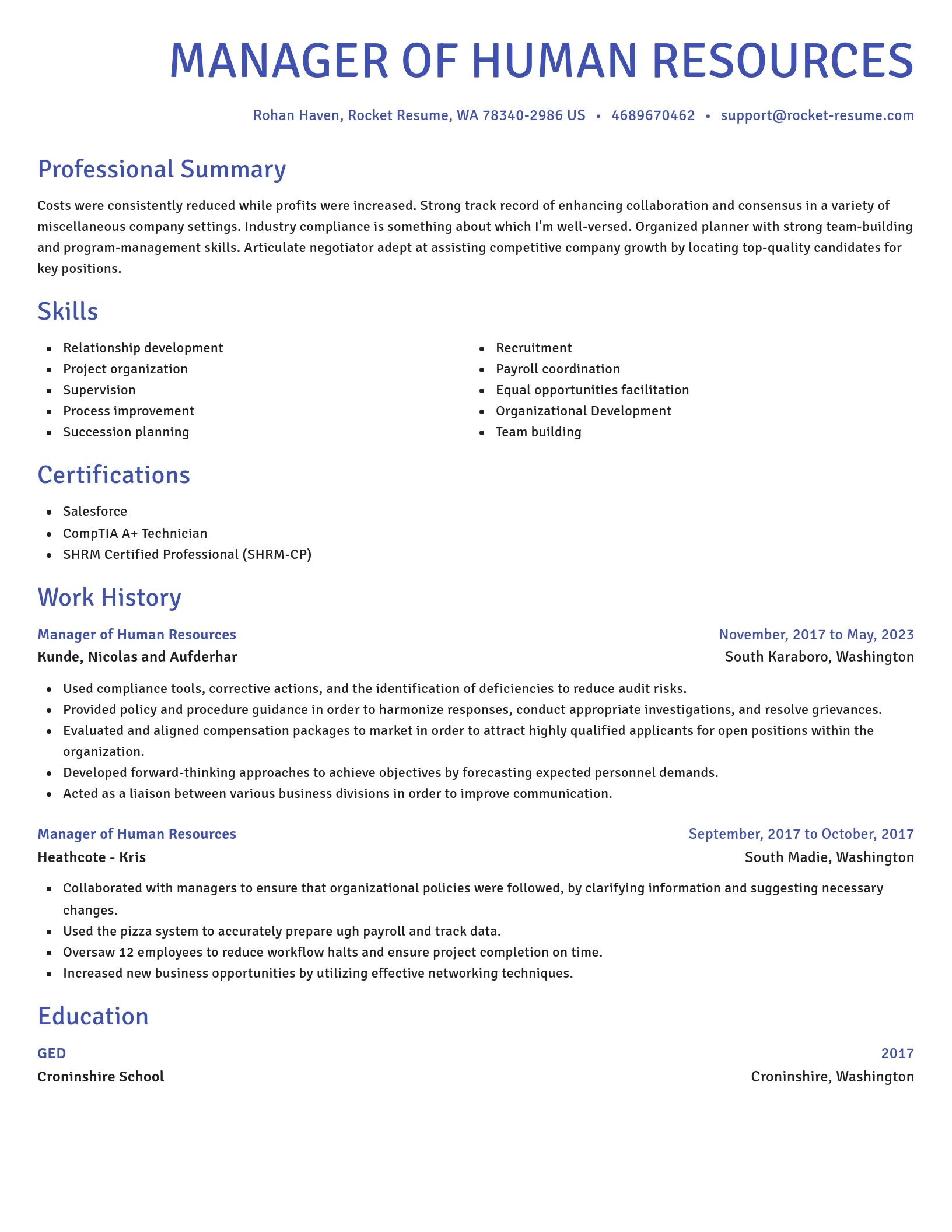Novel resume template