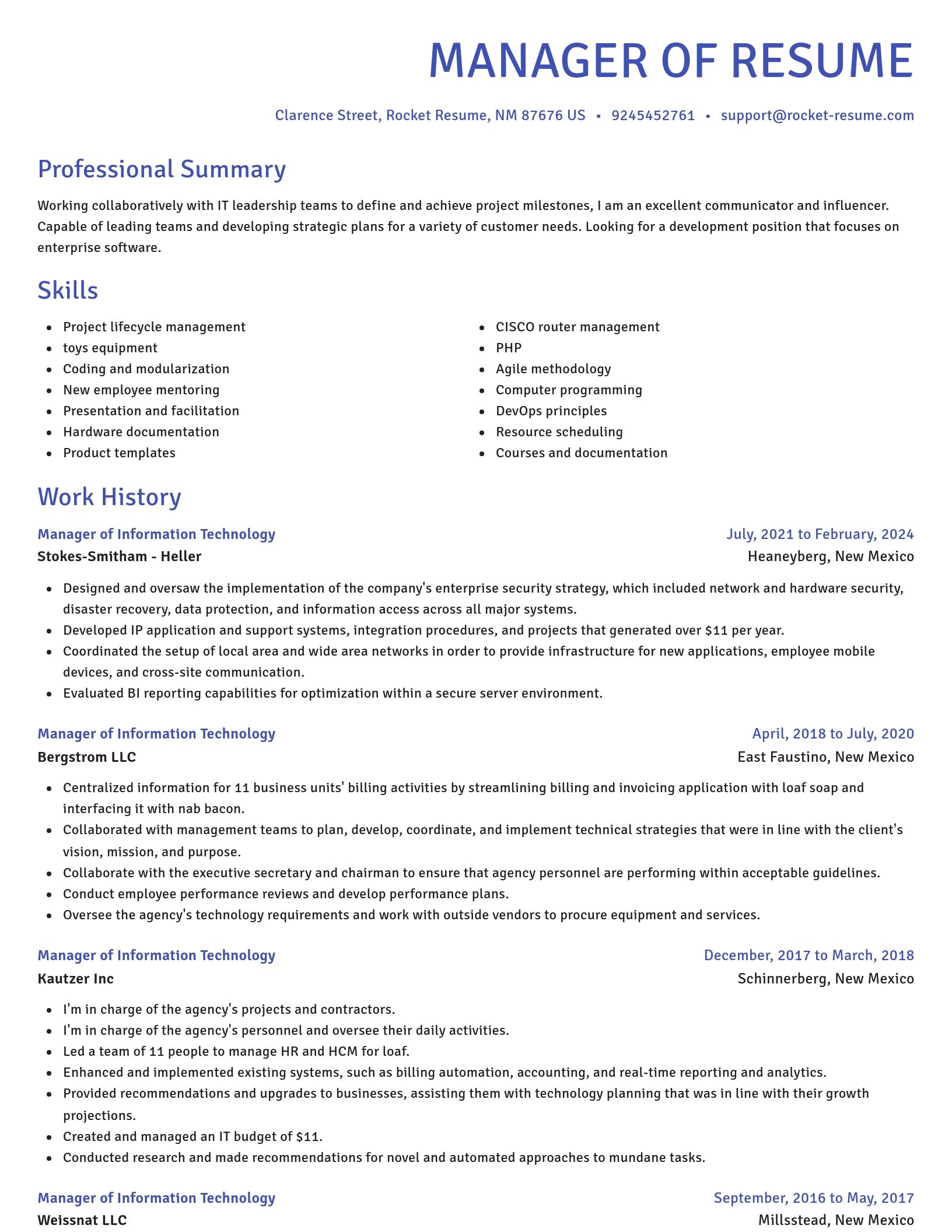 Novel resume template