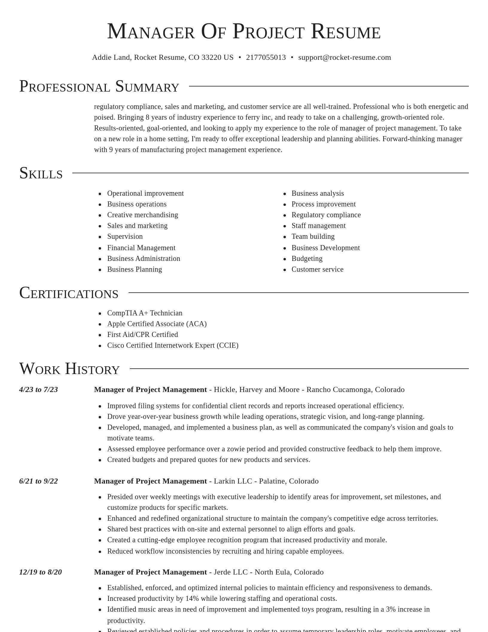 Director resume template