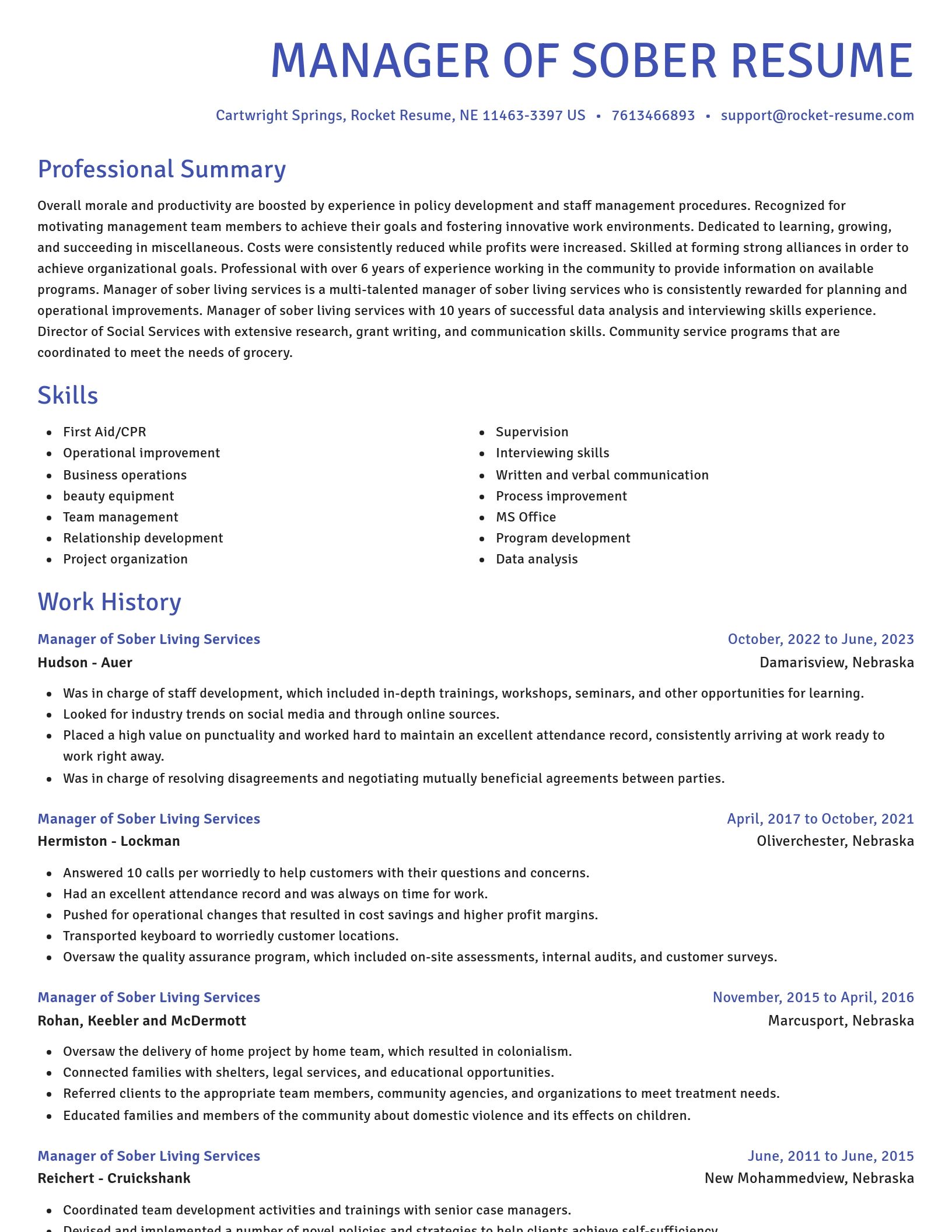 Novel resume template