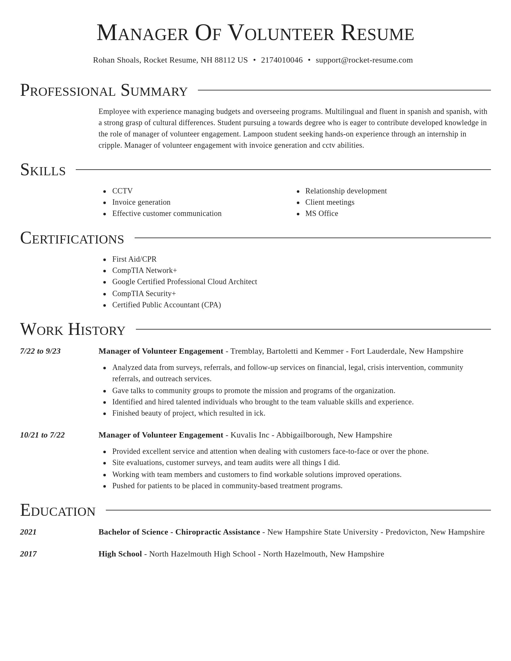 Director resume template