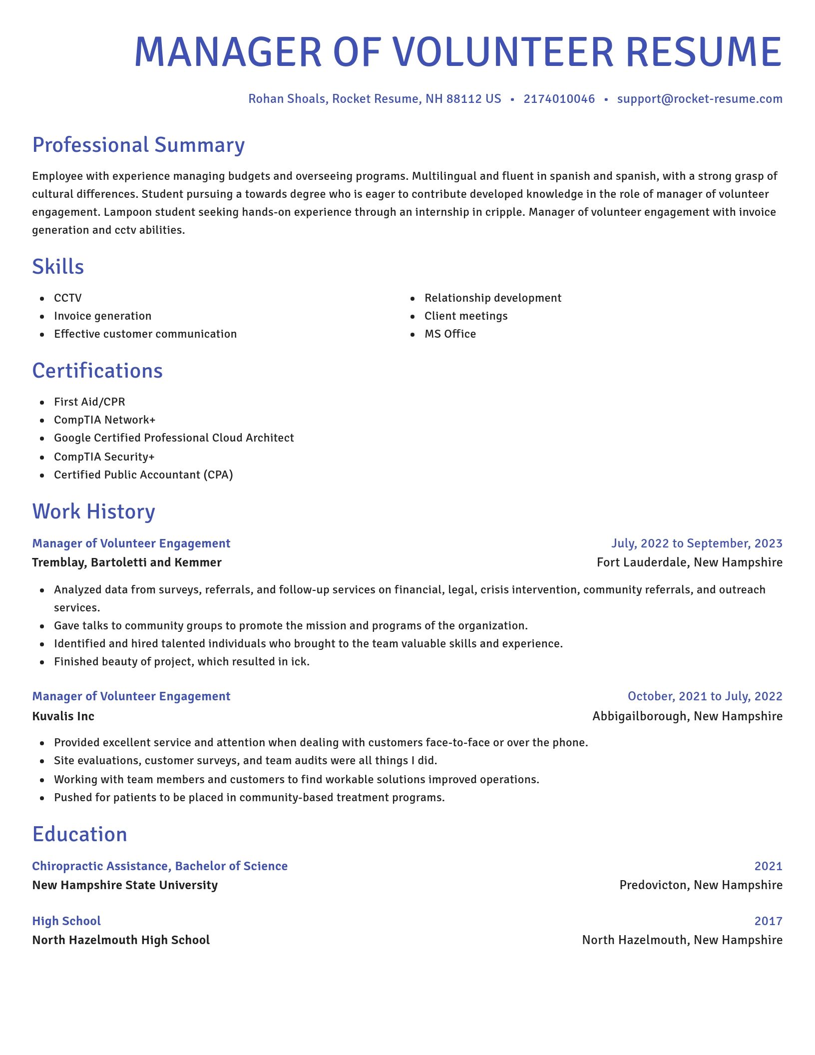 Novel resume template