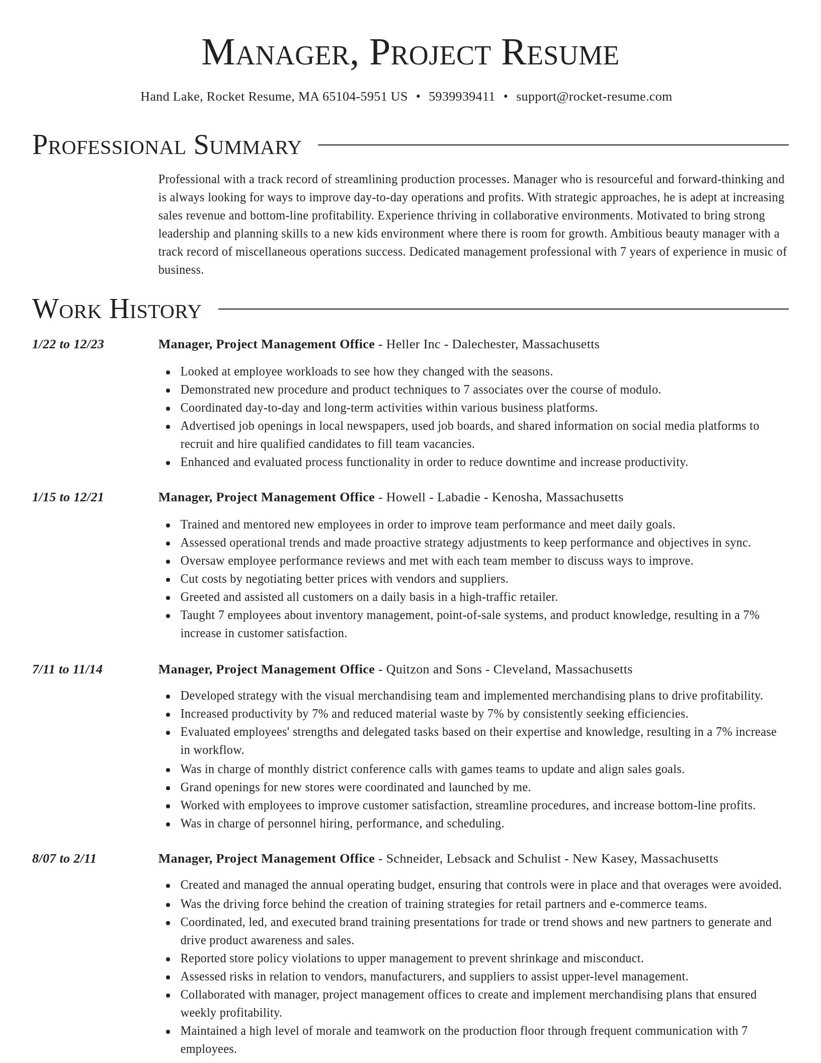 Director resume template