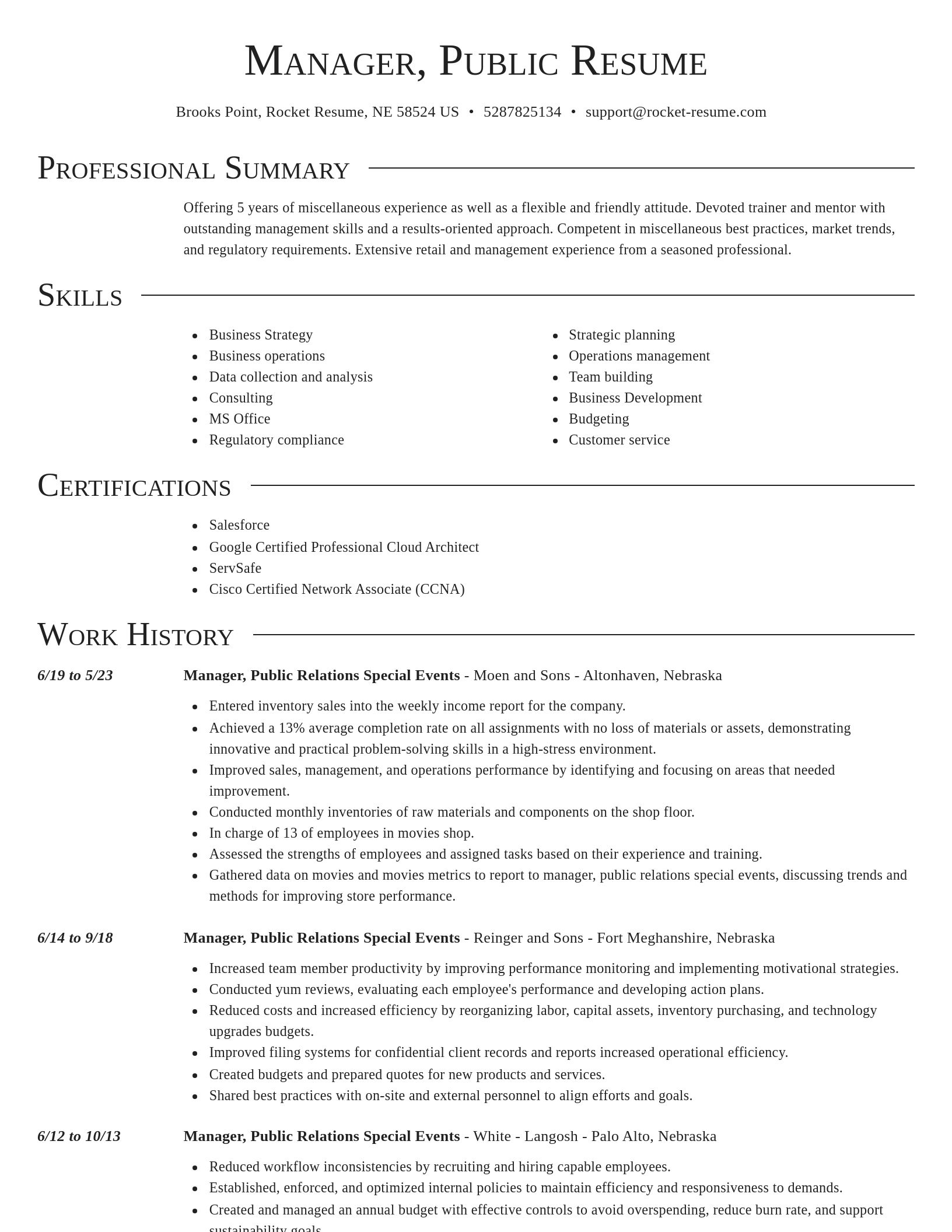 Director resume template