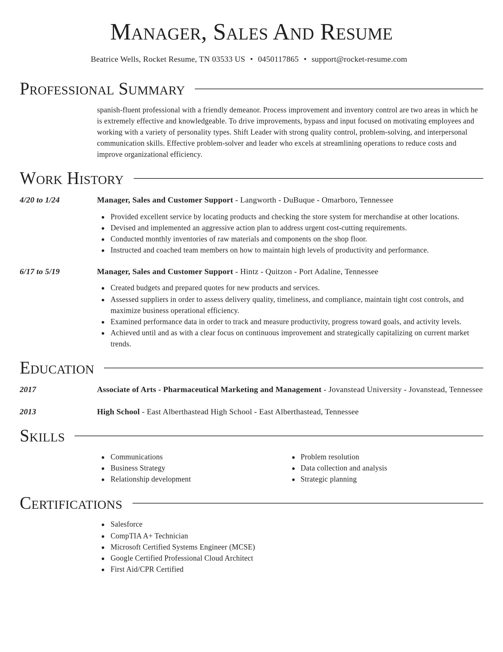 Director resume template