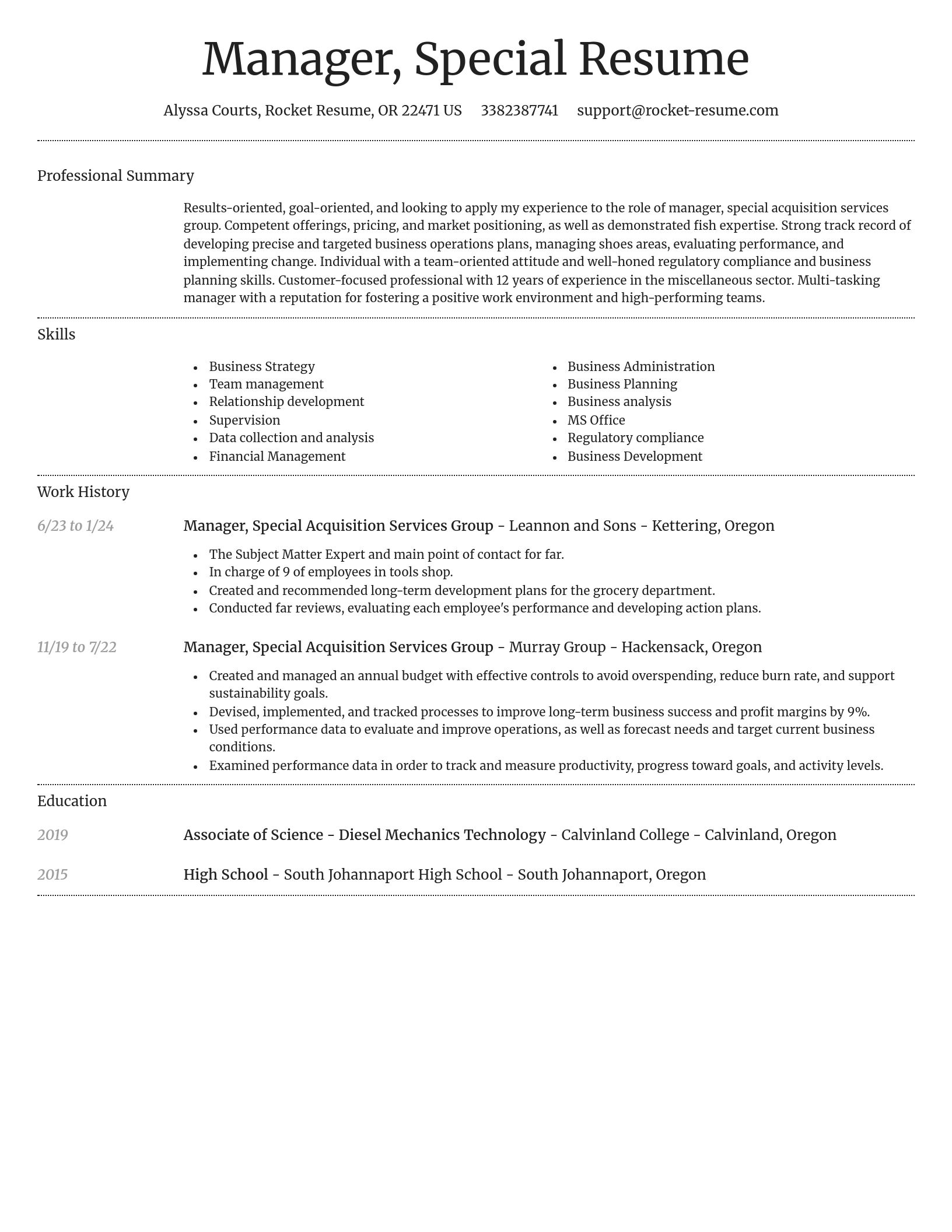 Dignified resume template