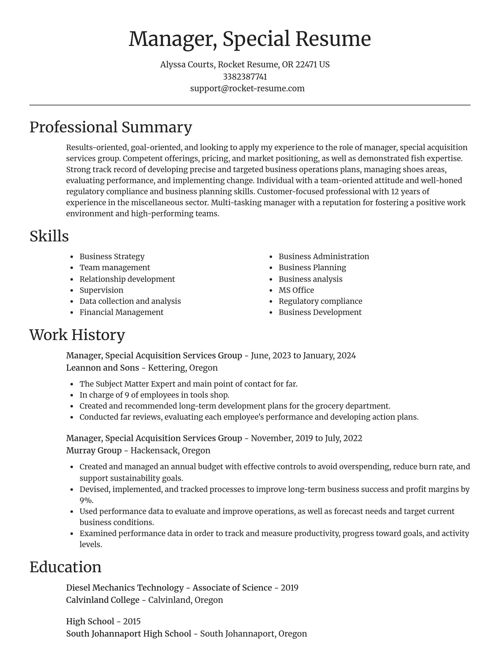 Focal Point resume template