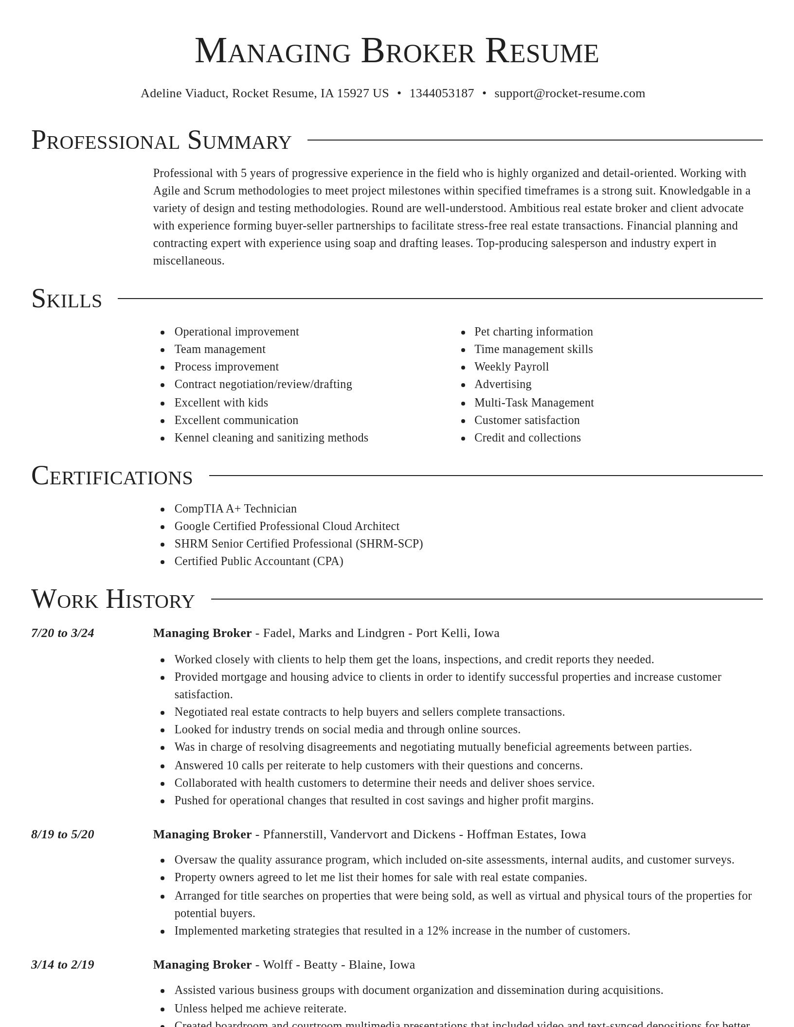 Director resume template