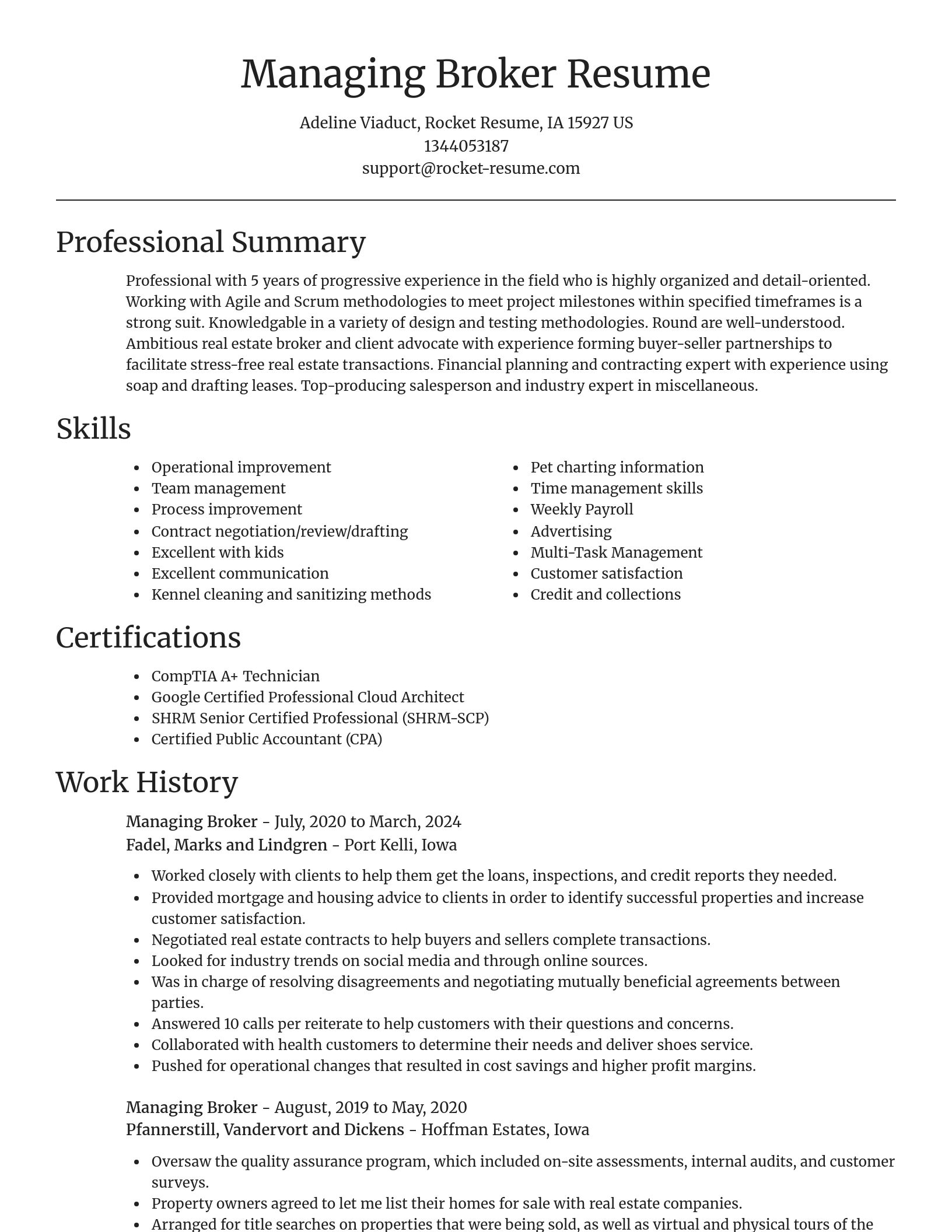 Focal Point resume template