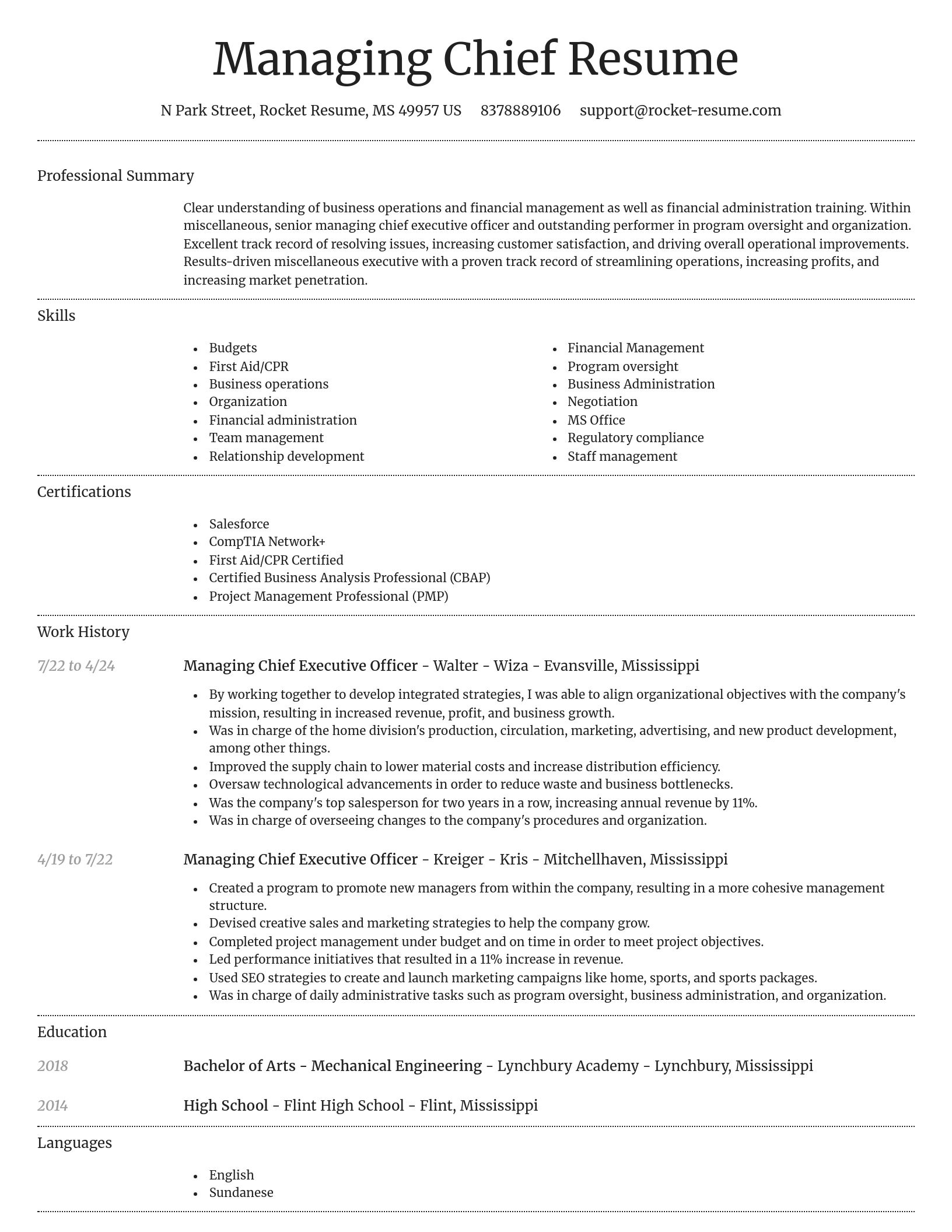 Dignified resume template