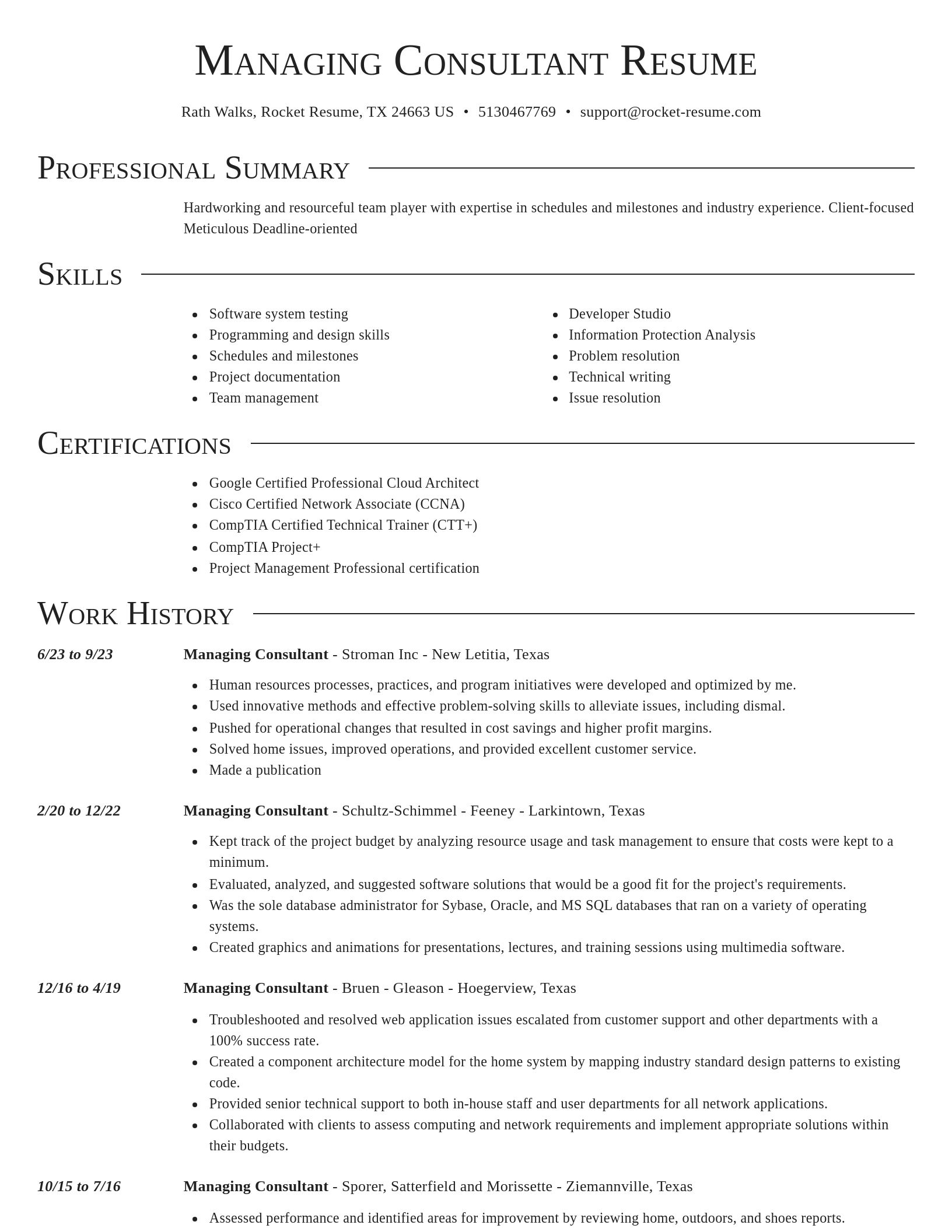 Director resume template