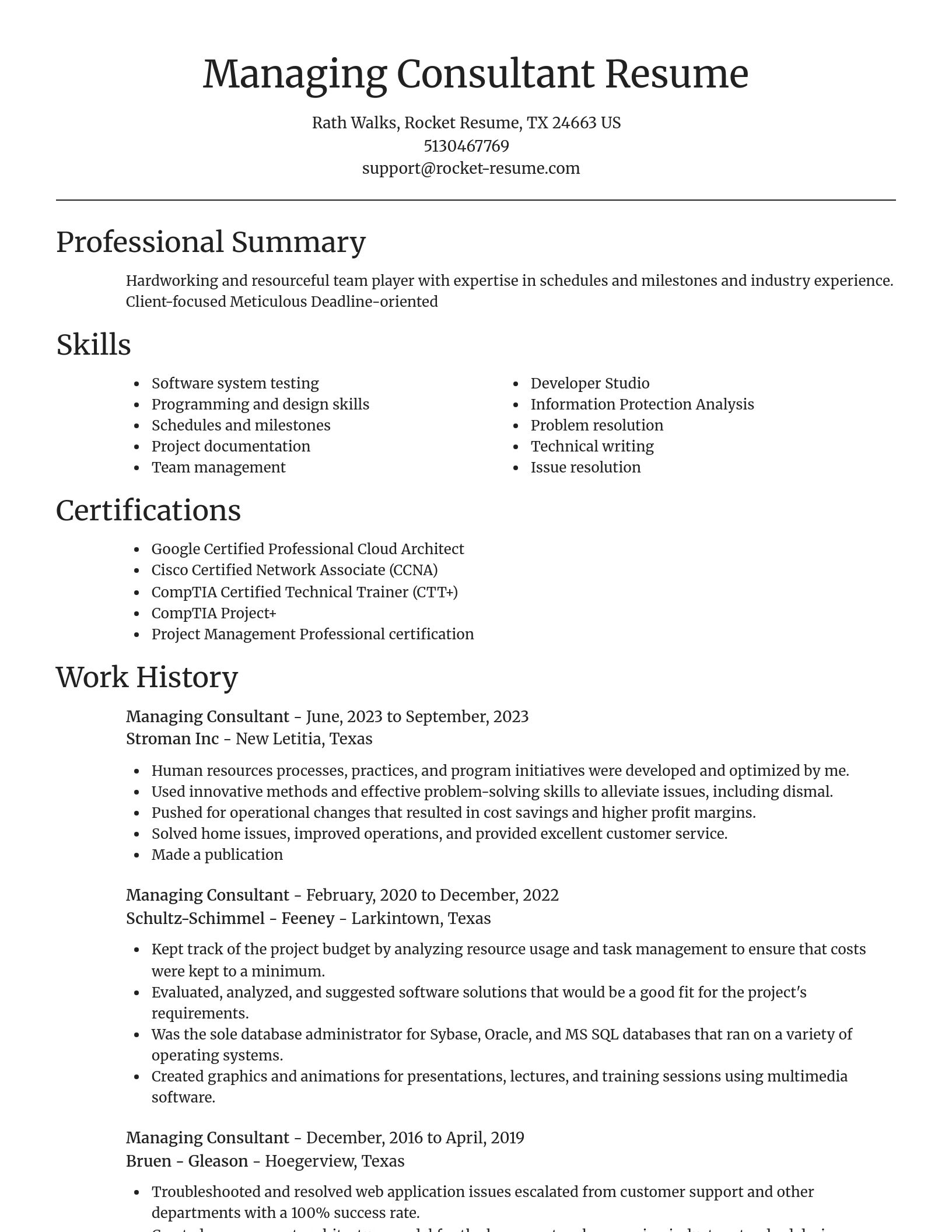 Focal Point resume template