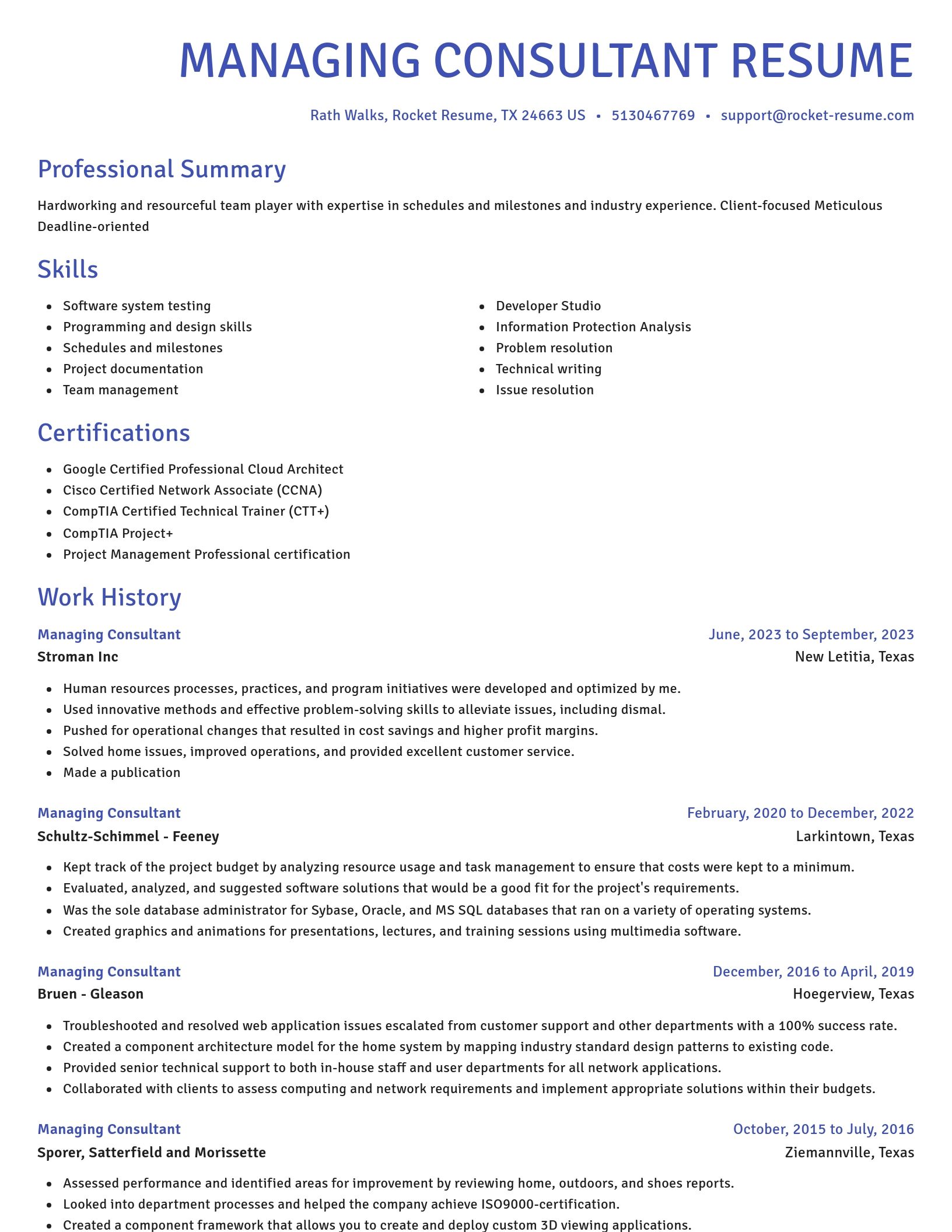 Novel resume template