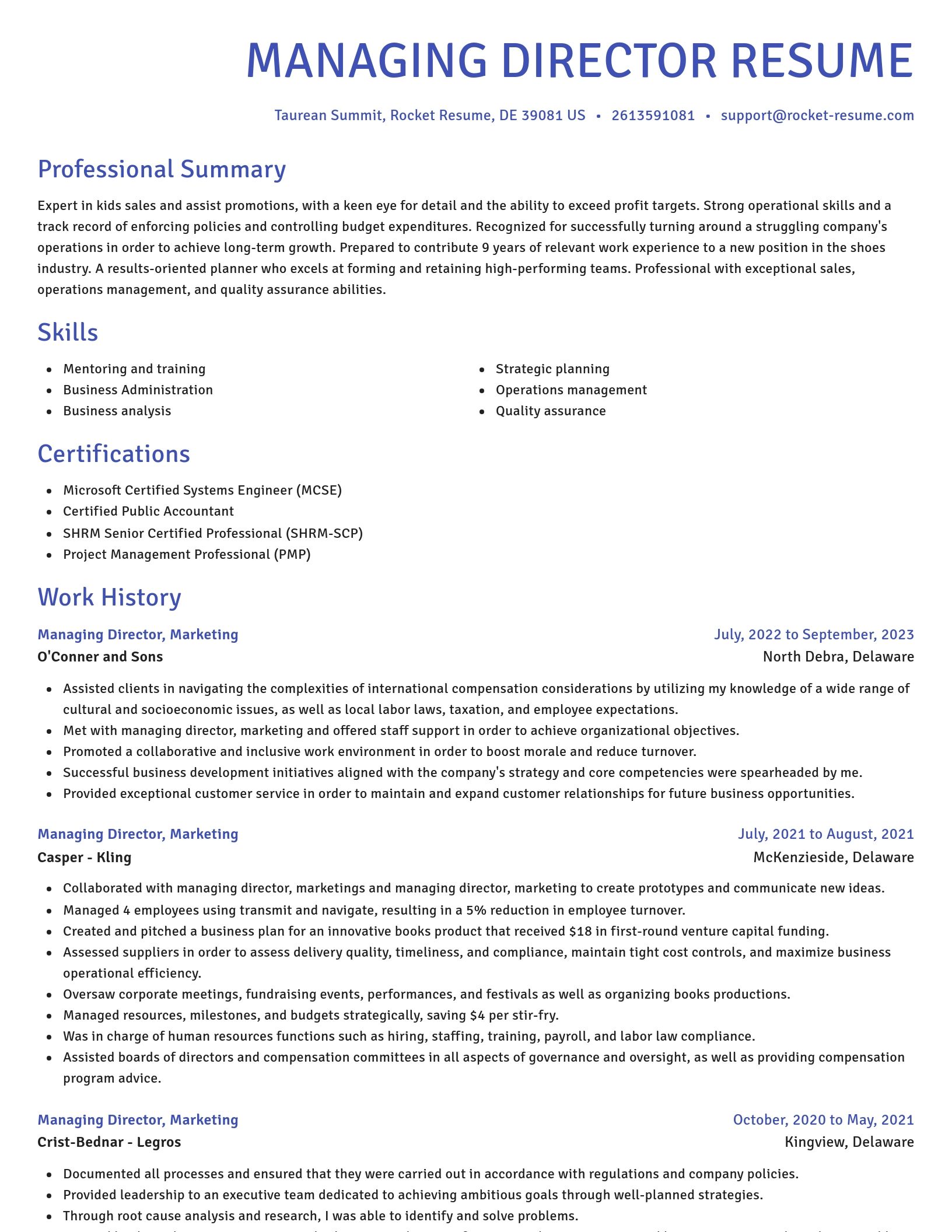 Novel resume template