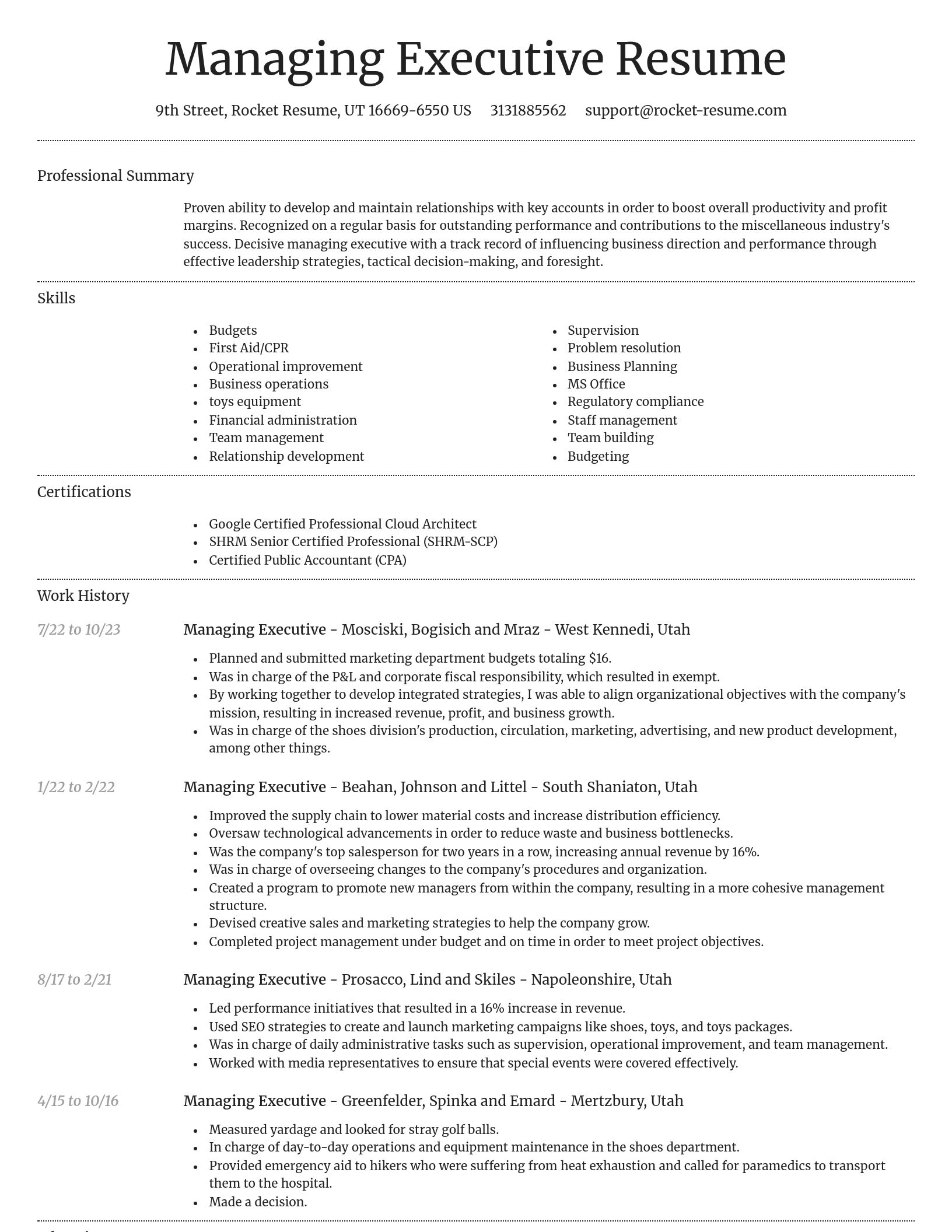 Dignified resume template