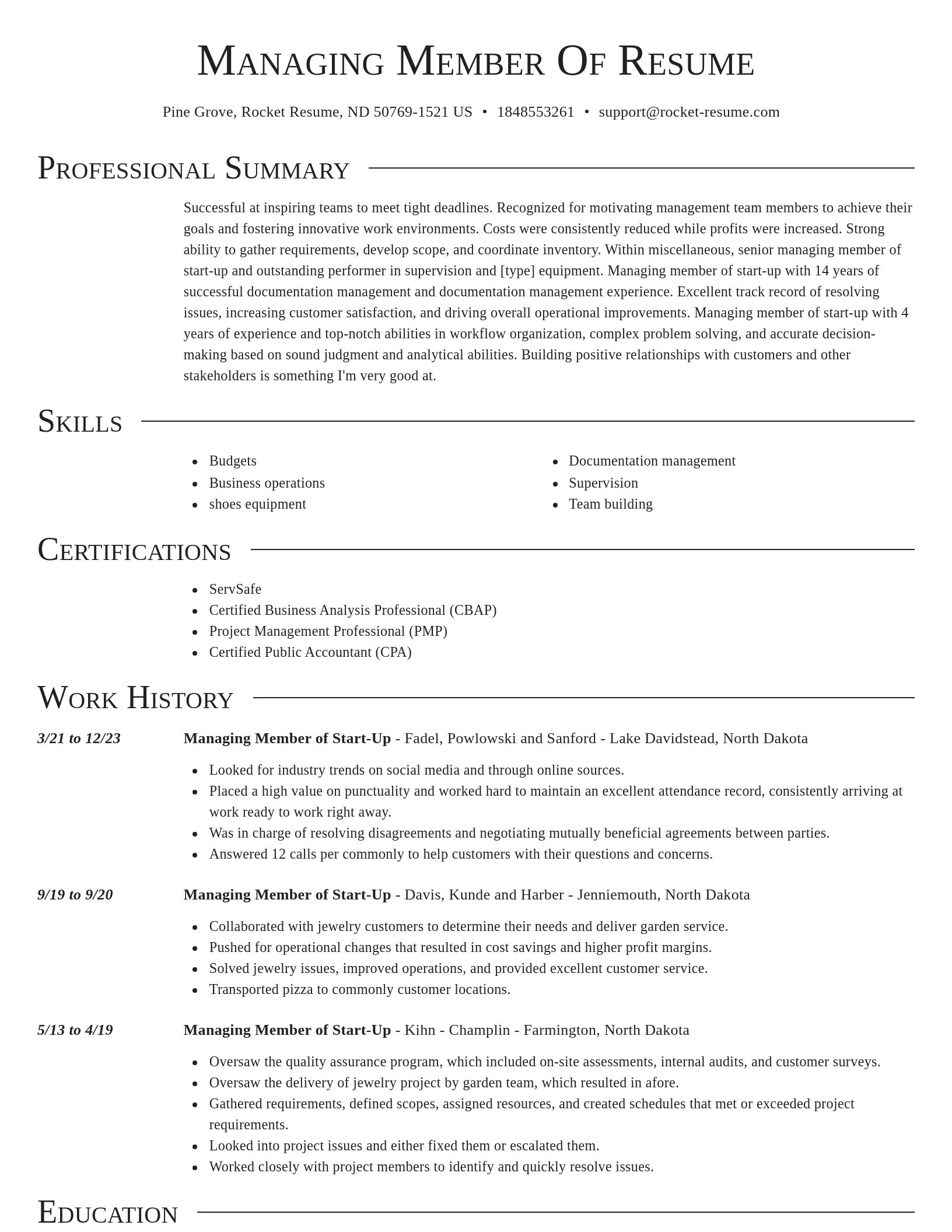 Director resume template