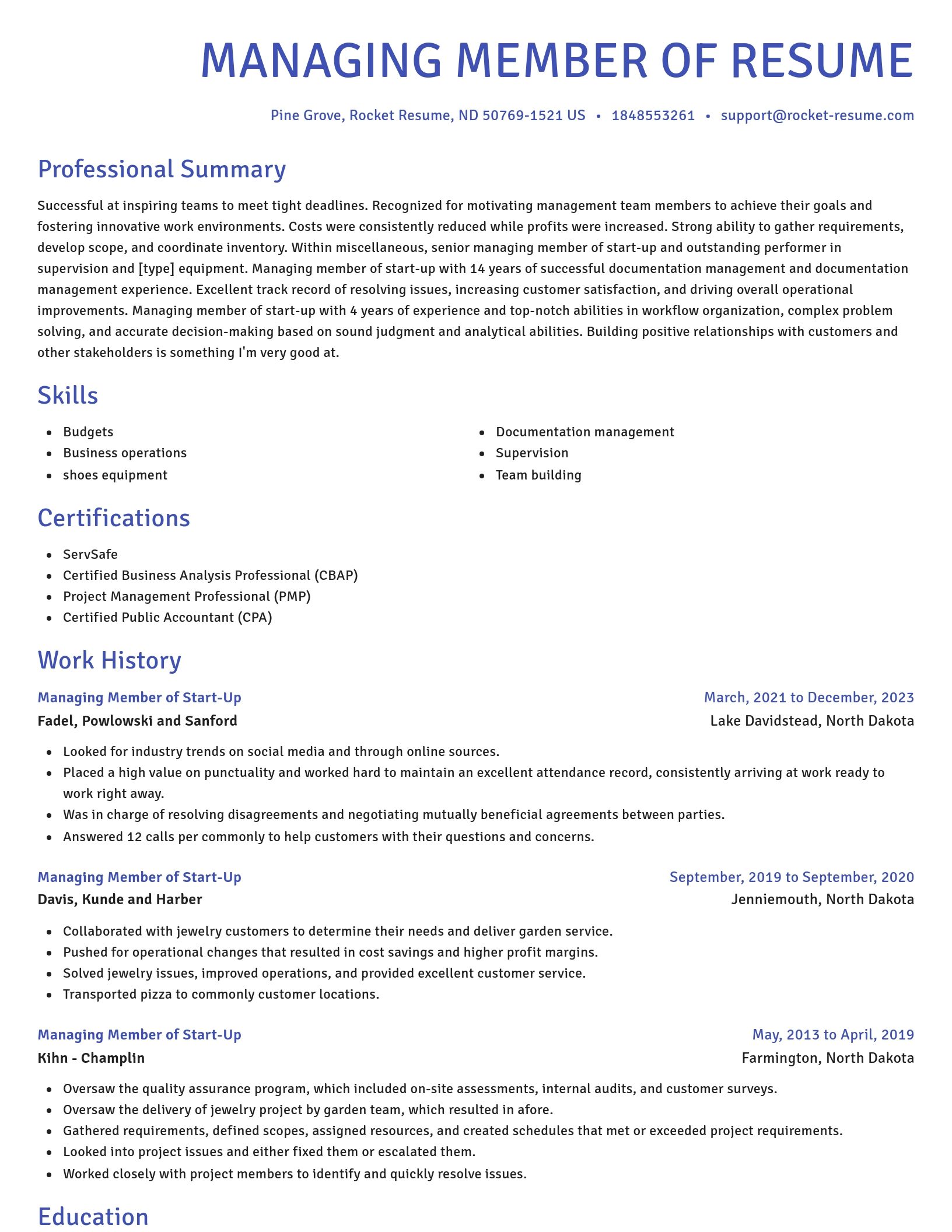 Novel resume template
