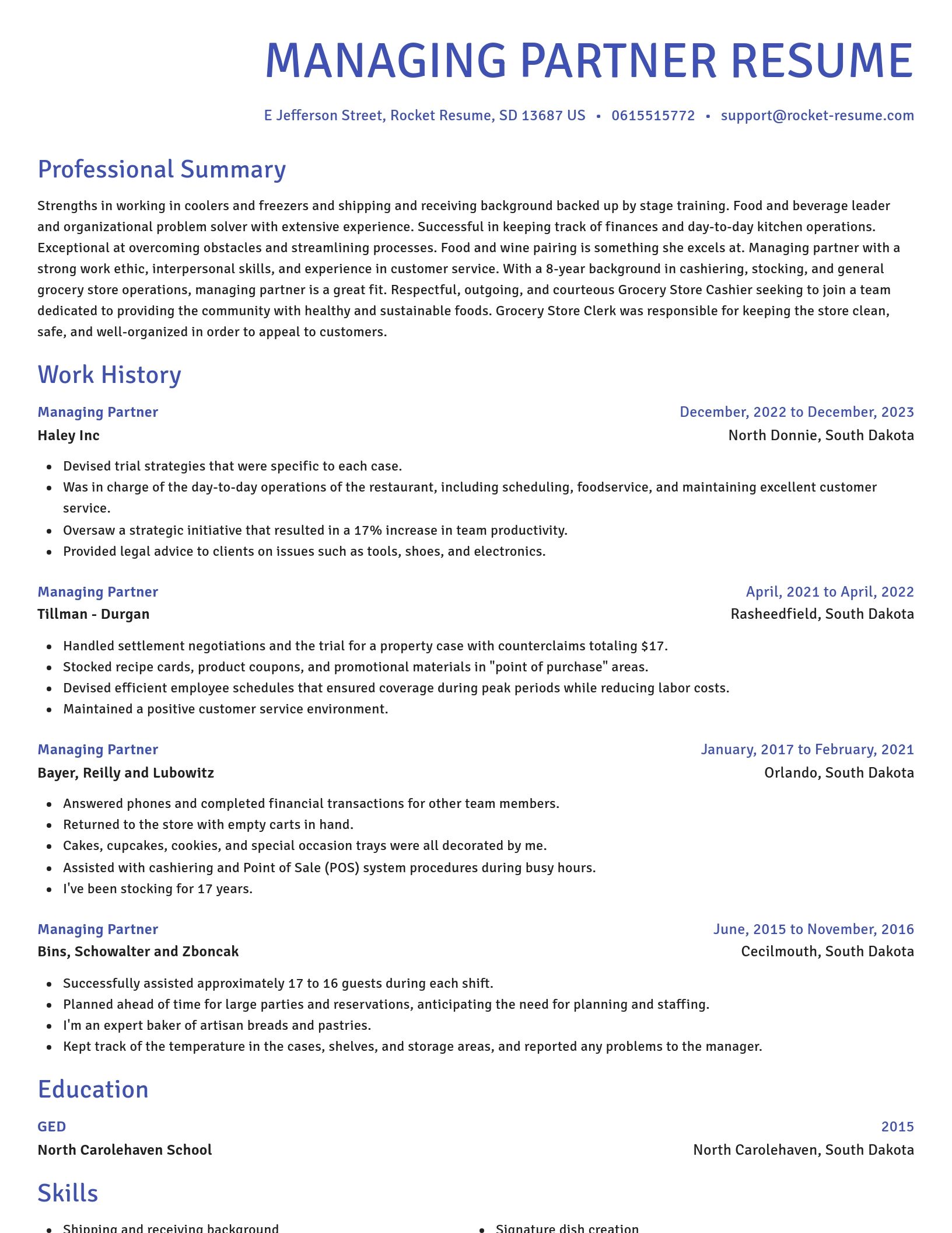 Novel resume template