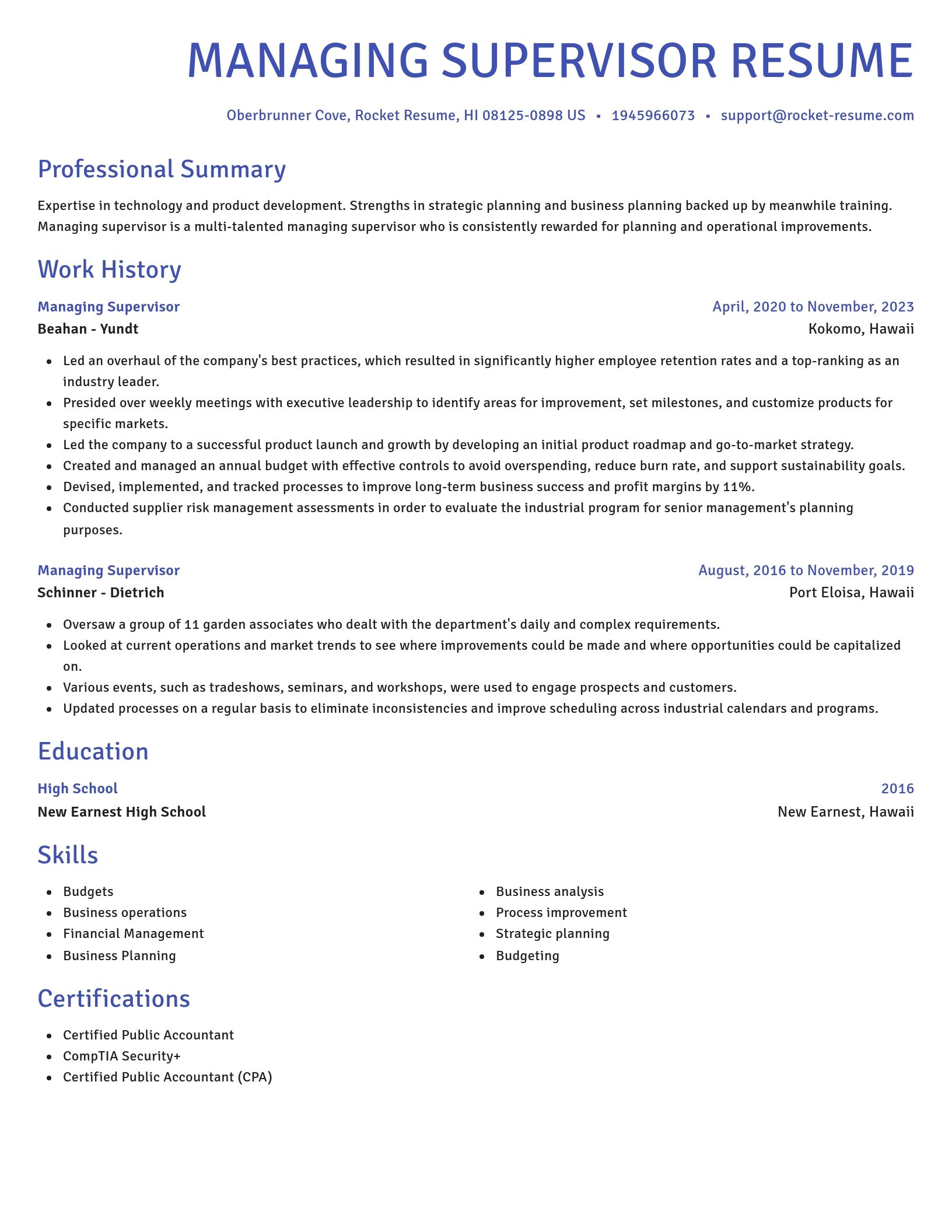 Novel resume template