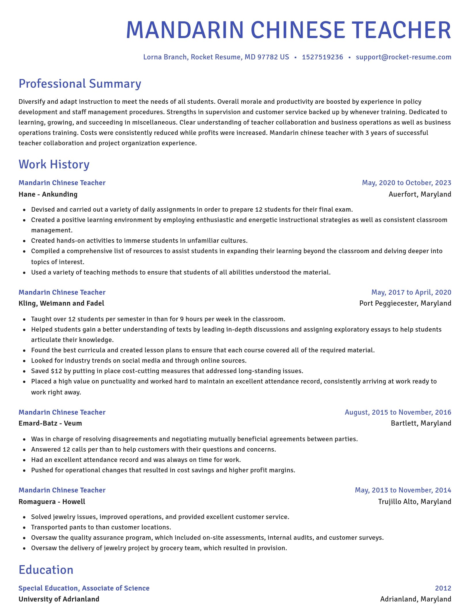 Novel resume template