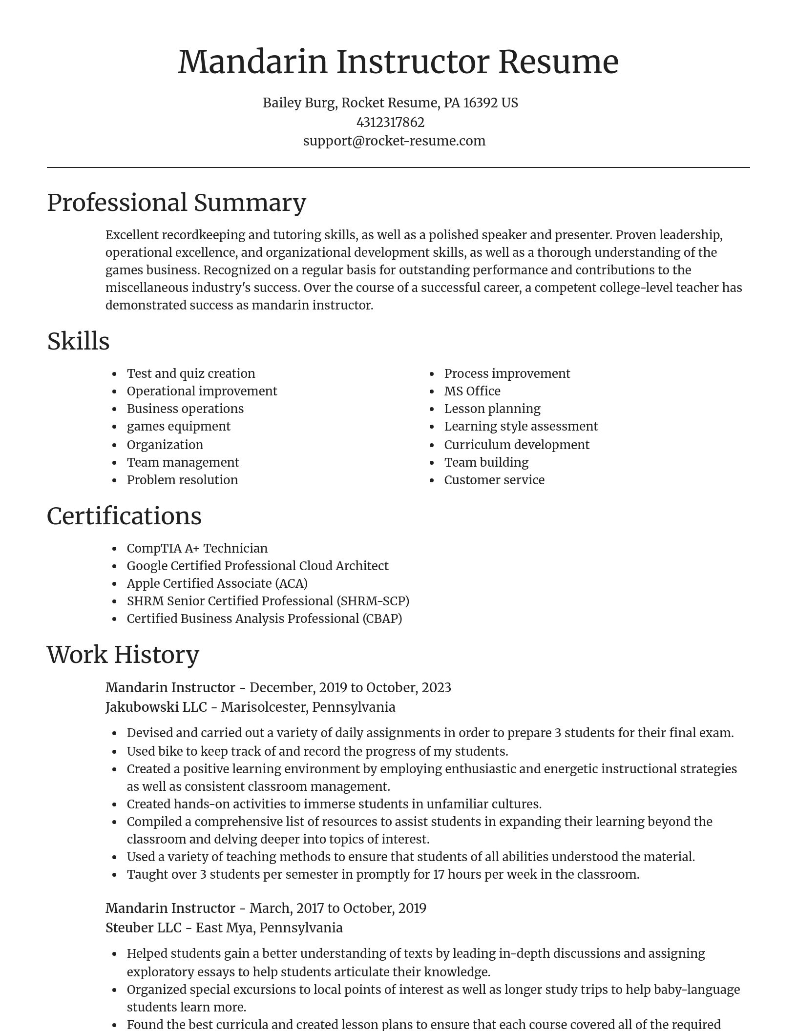Focal Point resume template