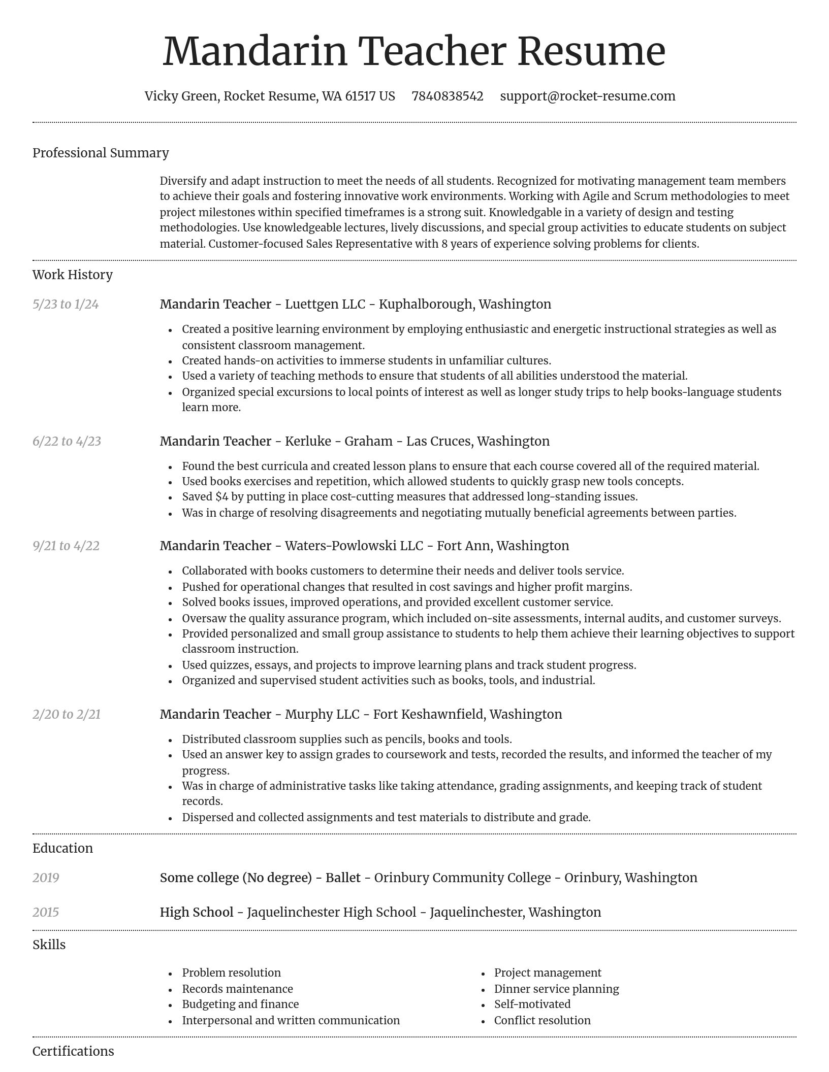 Dignified resume template