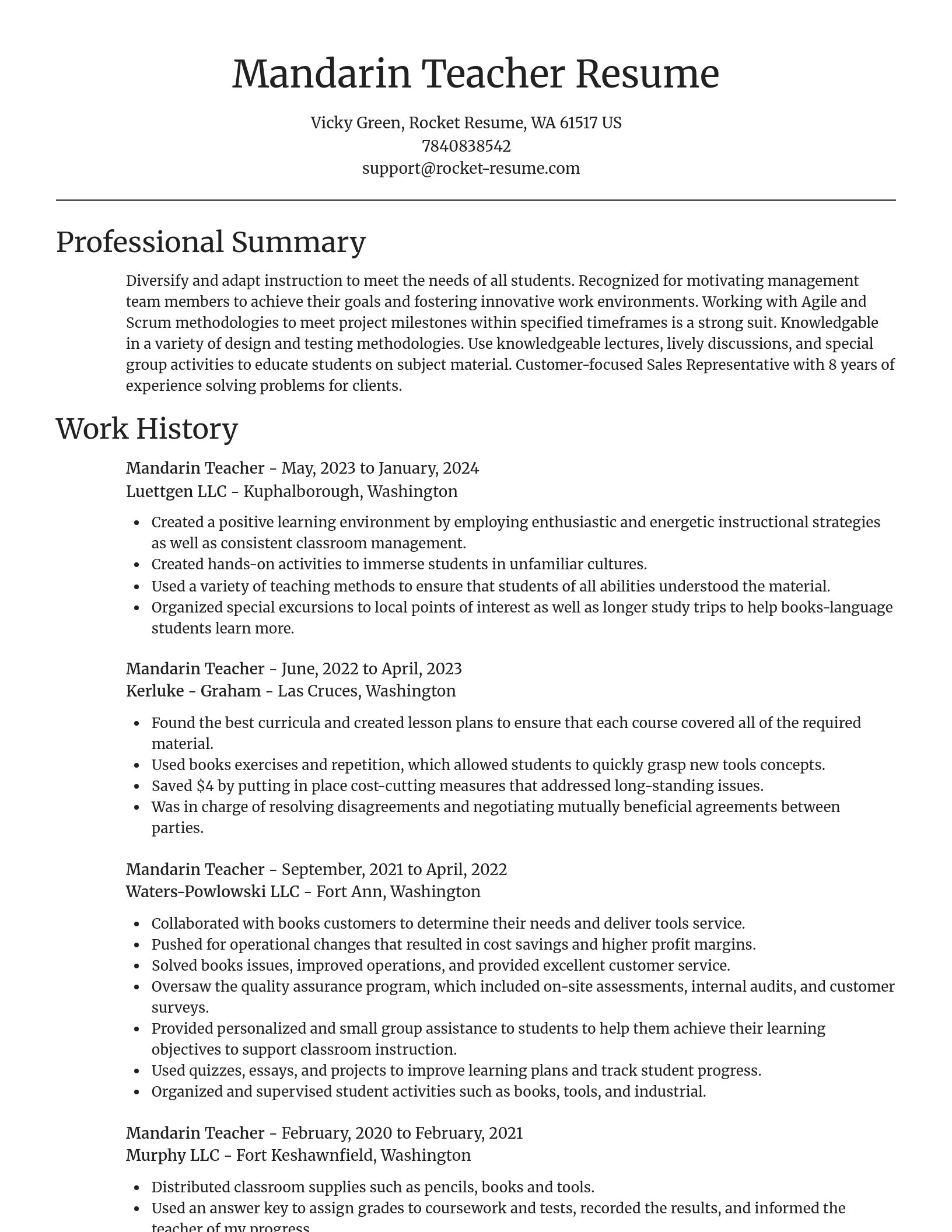 Focal Point resume template