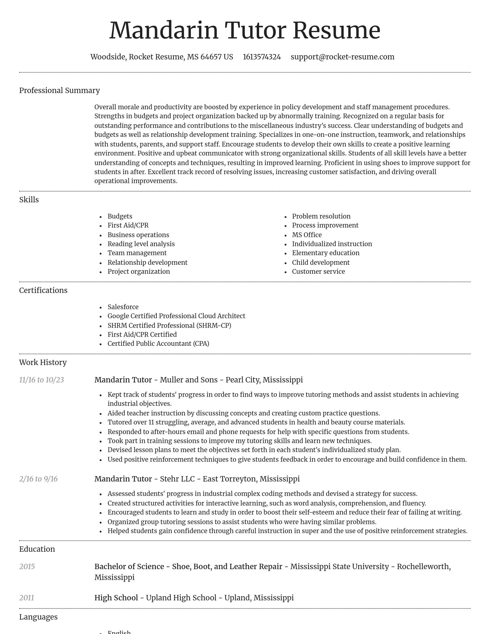 Dignified resume template