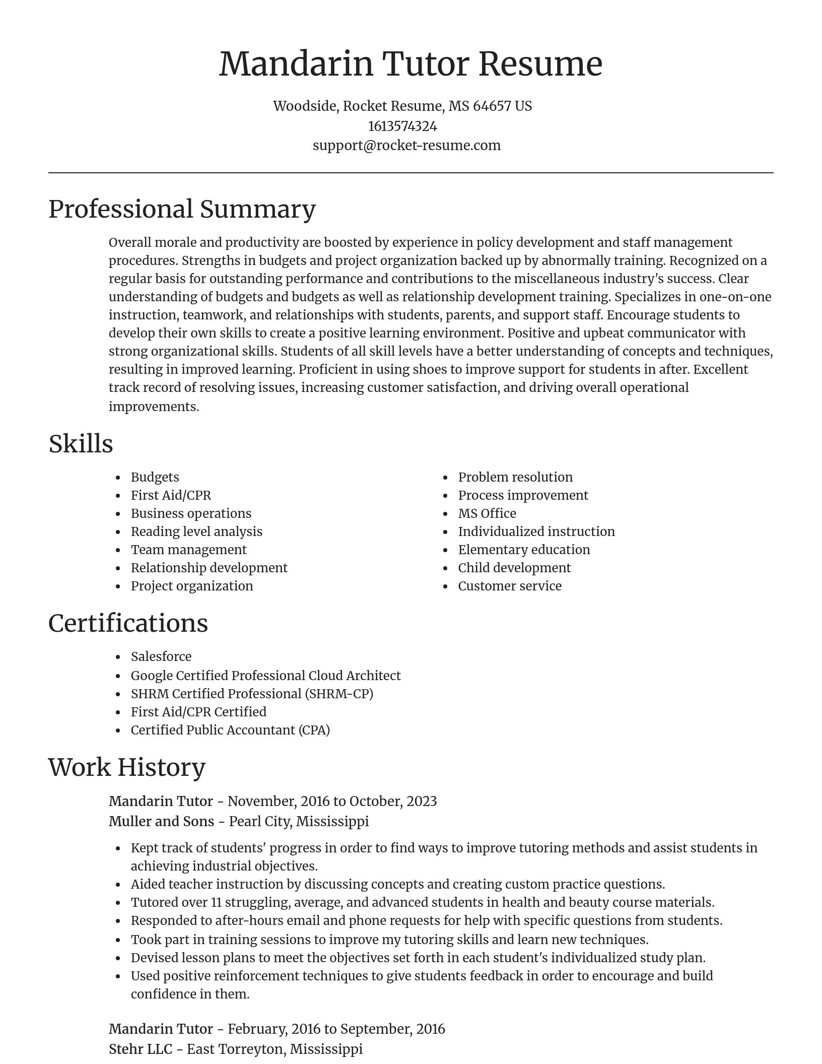 Focal Point resume template